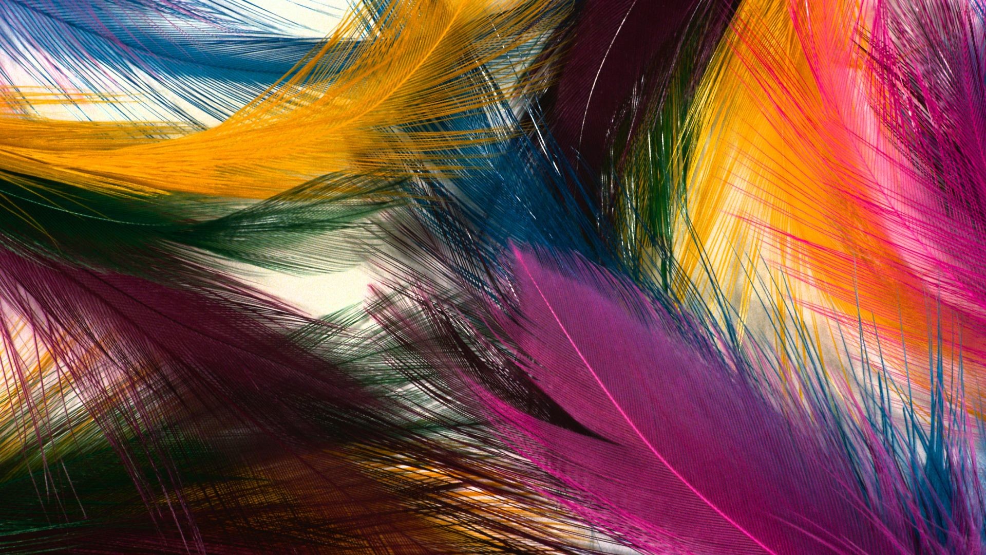 Piume, Multicolore, Primo piano, Arte astratta, Full HD, sfondo per PC e portatile