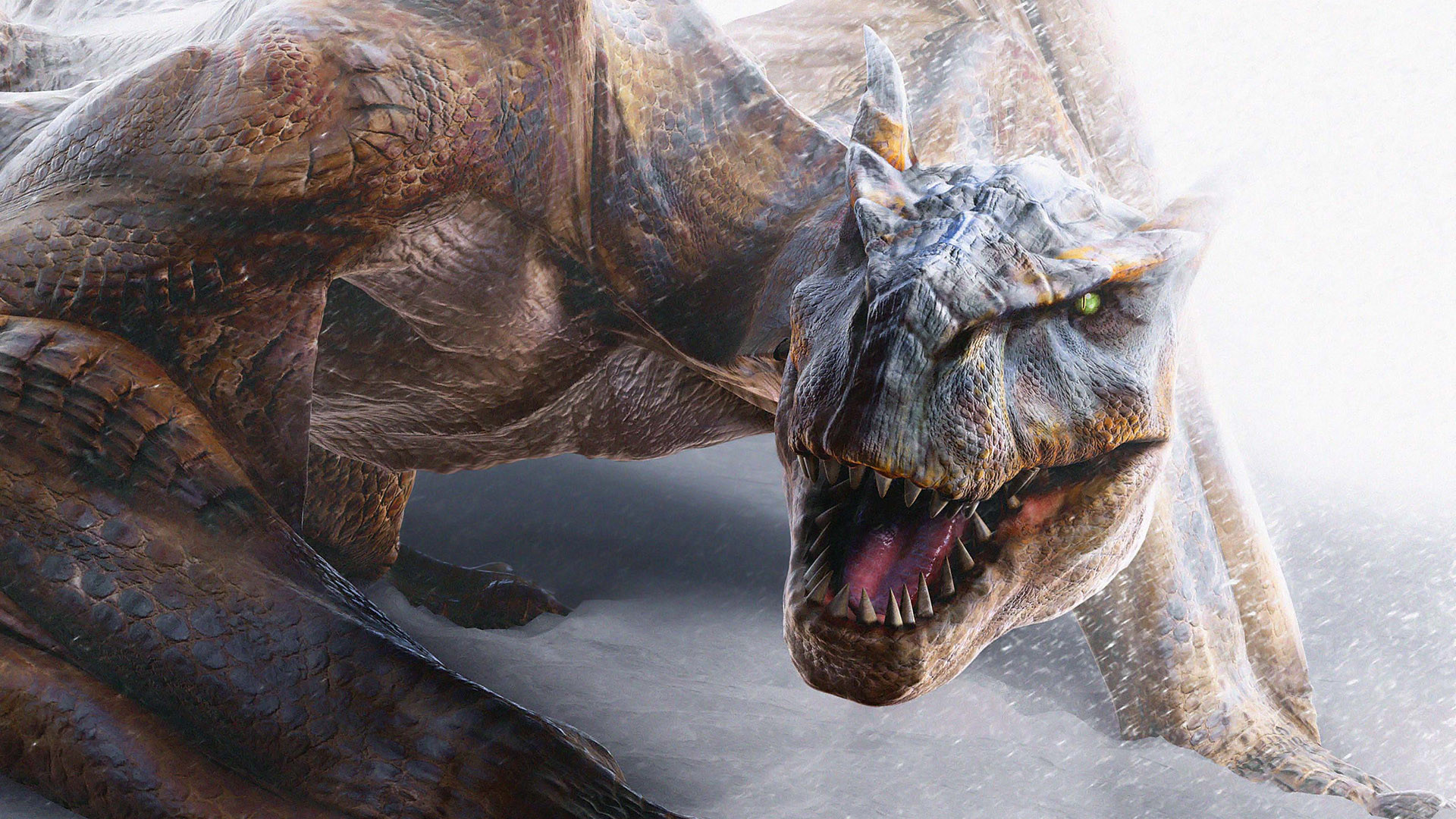 Drago, Dinosauro, Primo piano, 16:9 Full HD, wallpaper widescreen