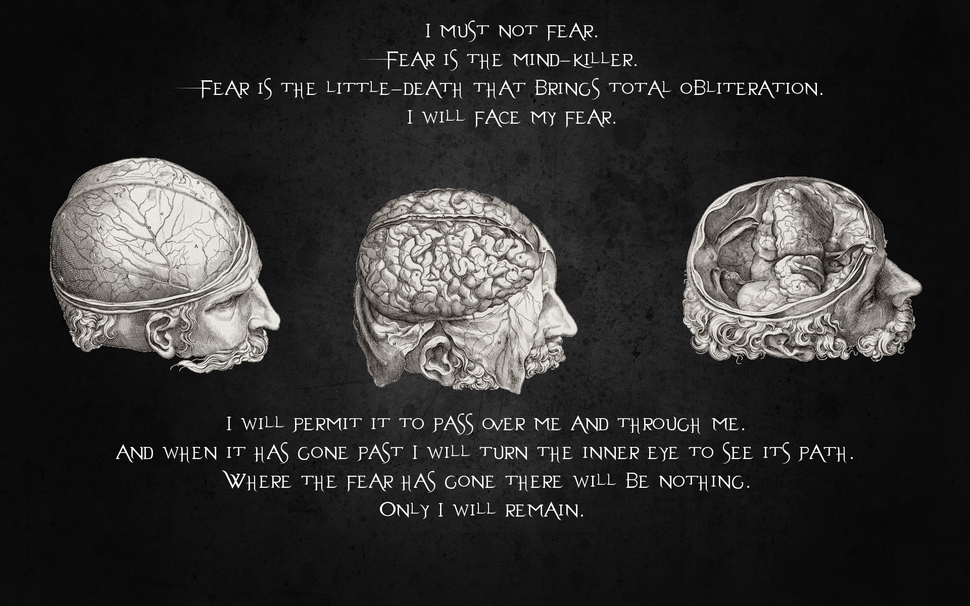 Litania contro la paura, Dune, Cervello, Anatomia, Bianco e nero, sfondo desktop 1920x1200