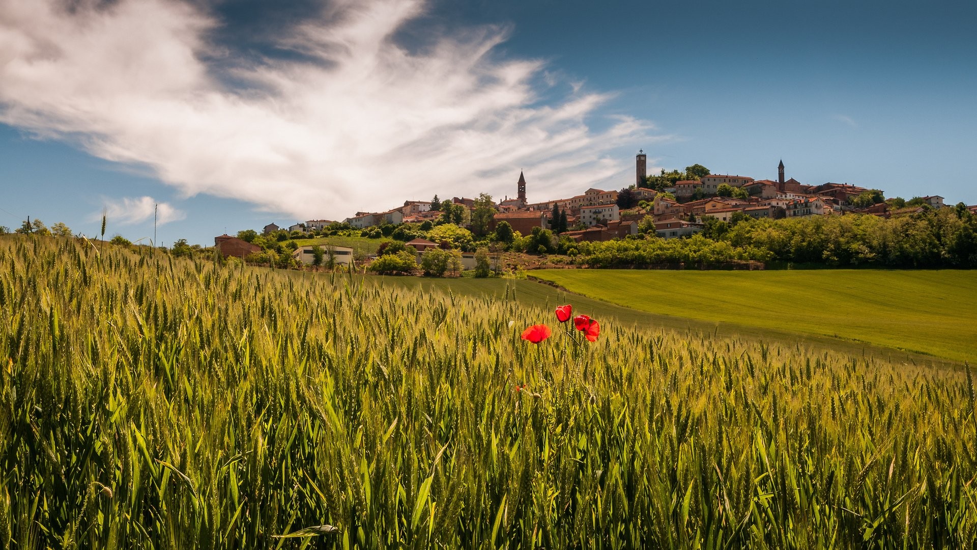 Borgo collinare, Campo di grano, Papaveri, Italia, Full HD, wallpaper per PC