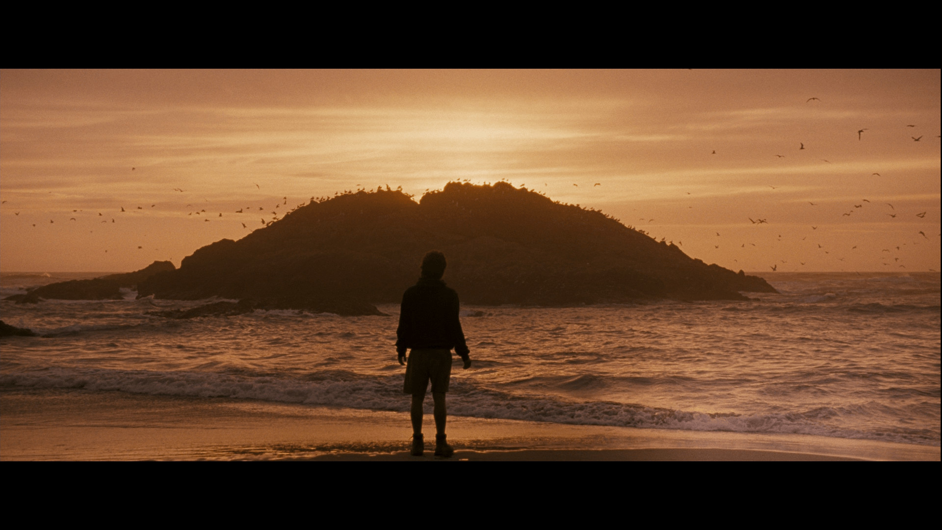 Into the Wild - Nelle terre selvagge, Silhouette, Tramonto, Spiaggia, wallpaper desktop Full HD