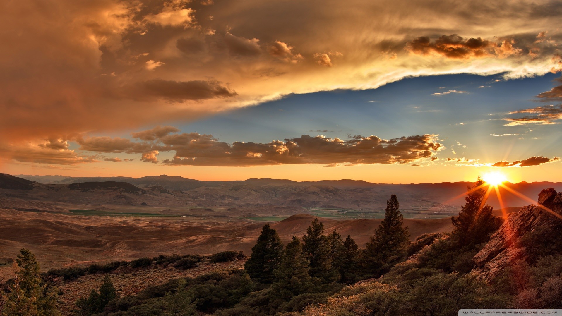 Tramonto, Nuvole, Colline, Pini, Full HD, sfondo per portatile