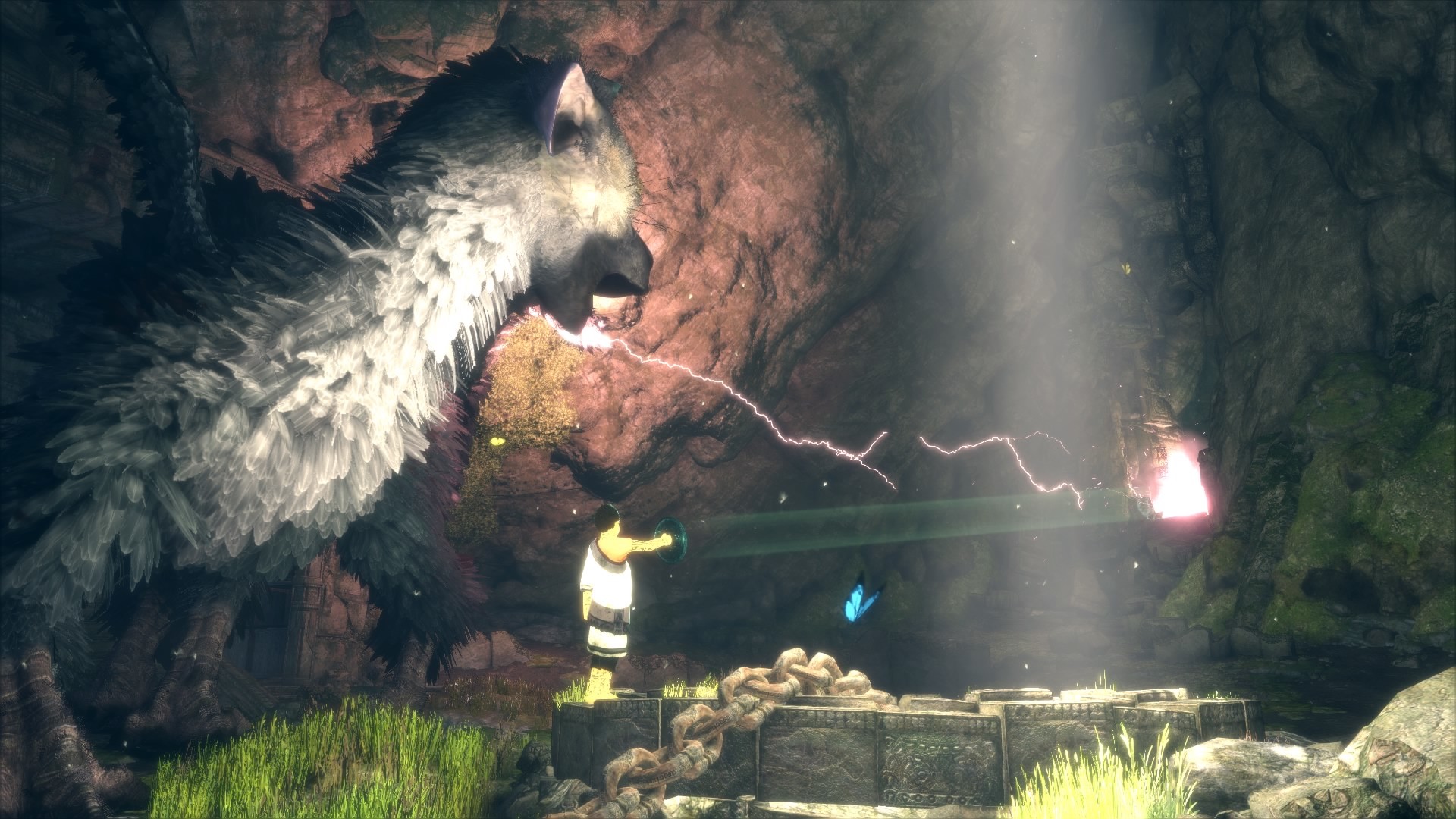Trico, The Last Guardian, Ragazzo, Fulmine, Grotta, Full HD, sfondo Windows 11