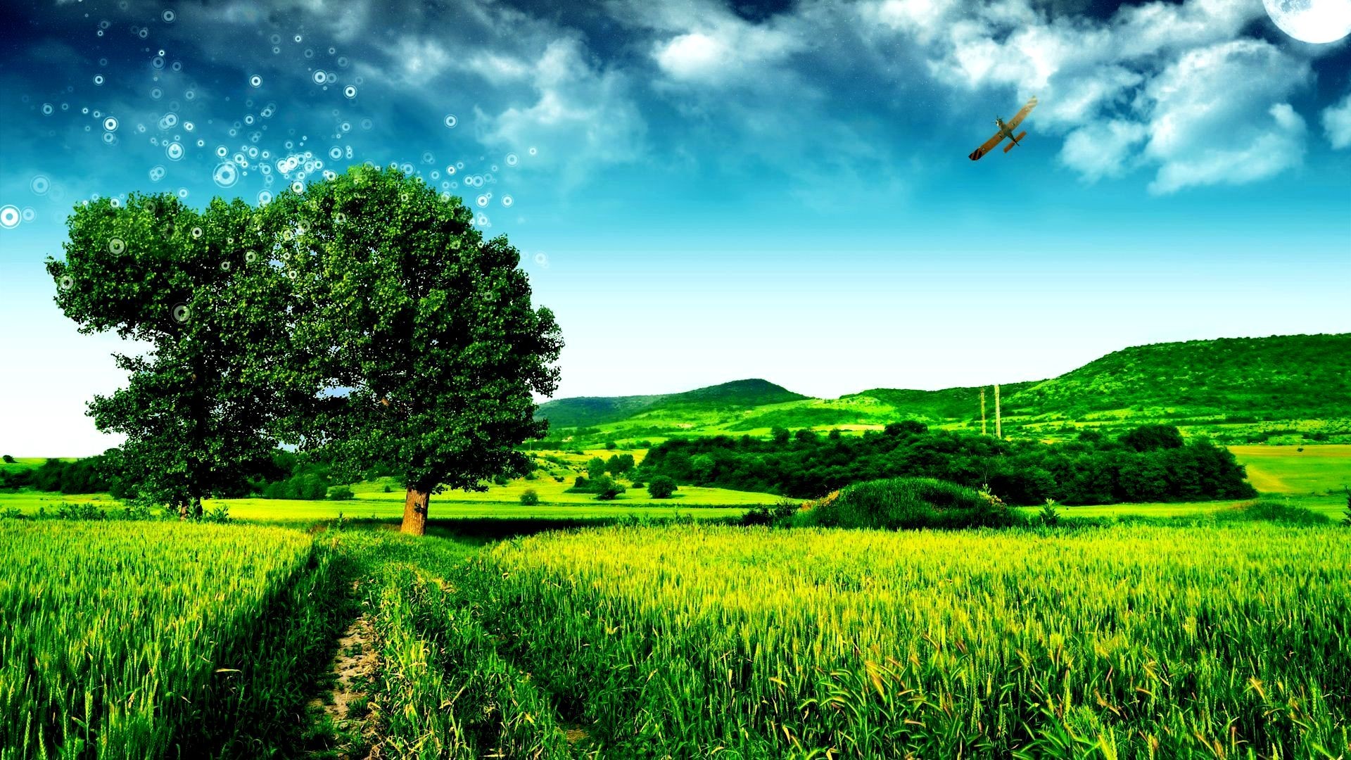 Albero, Campo verde, Cielo, Campagna, sfondo Full HD per desktop