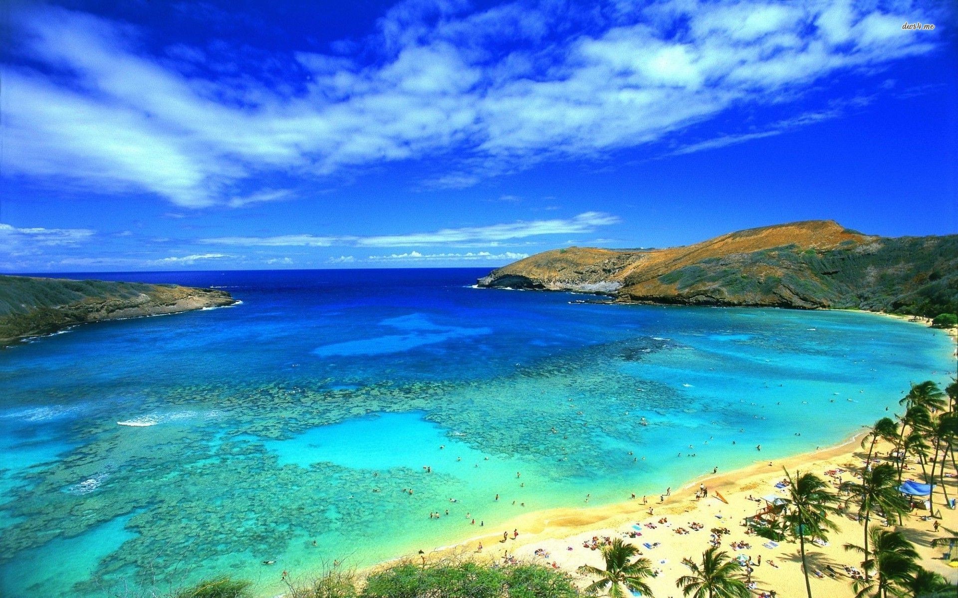 Hanauma Bay, Oahu, Hawaii, Barriera corallina, Baia, Full HD, sfondo per PC