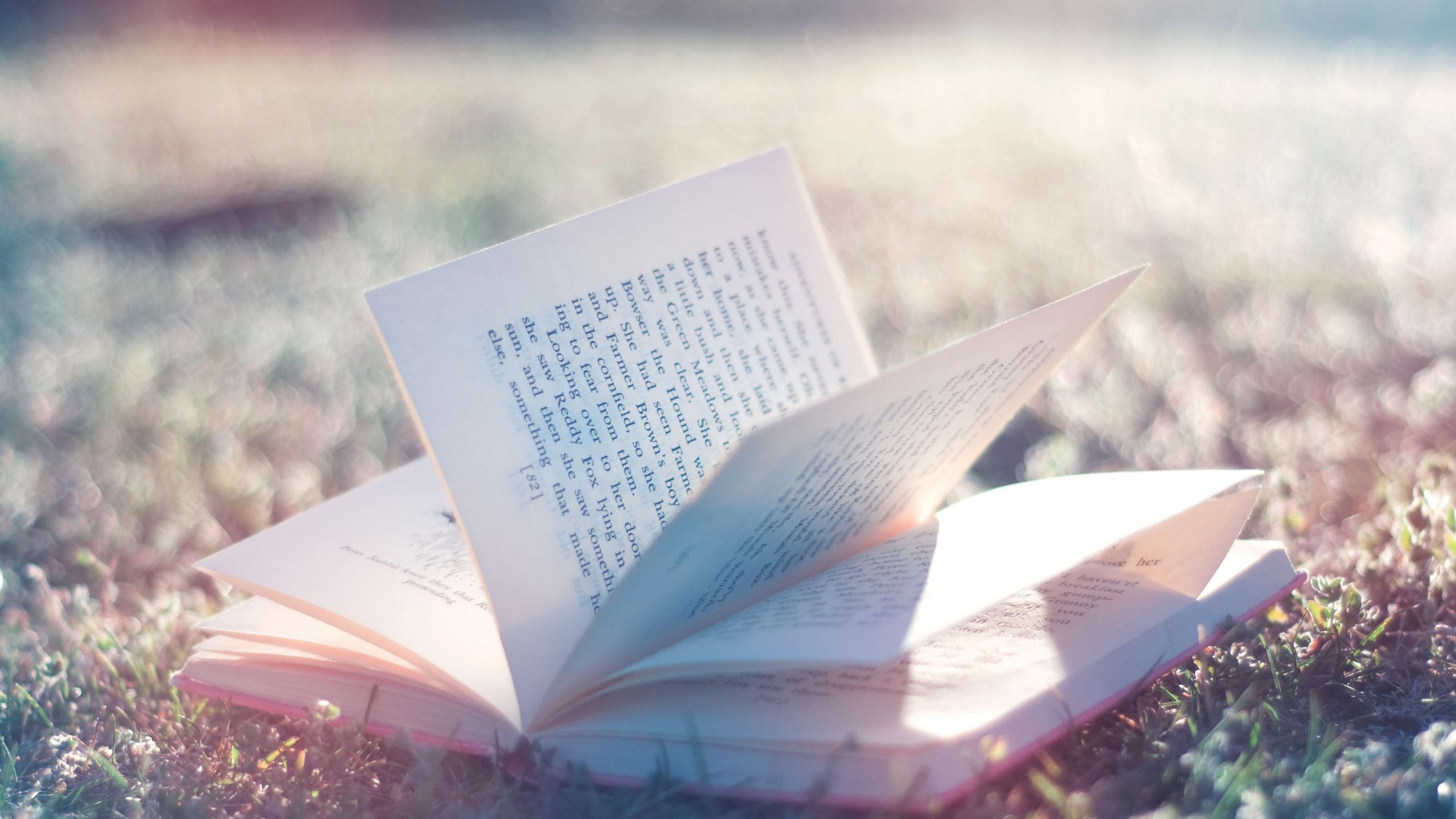 Libro aperto, Prato, Luce del sole, Profondità di campo, 2K, sfondo desktop