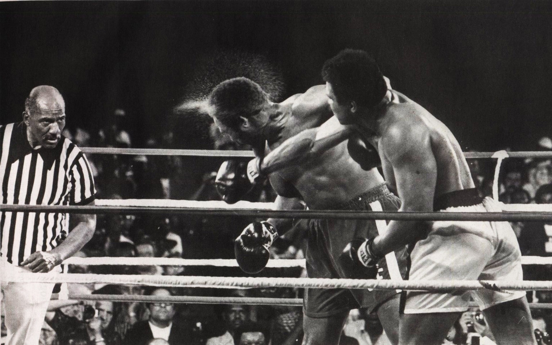 Muhammad Ali, Arbitro, Incontro di pugilato, Bianco e nero, 1920x1200, sfondo per PC