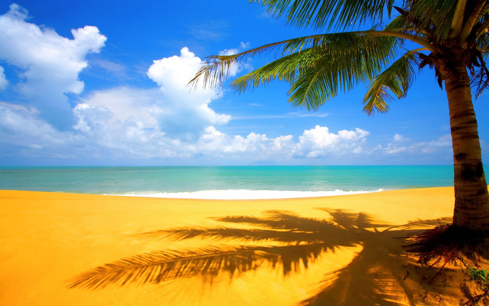 Palma, Ombra, Sabbia dorata, Mare turchese, 16:10 Full HD, wallpaper widescreen