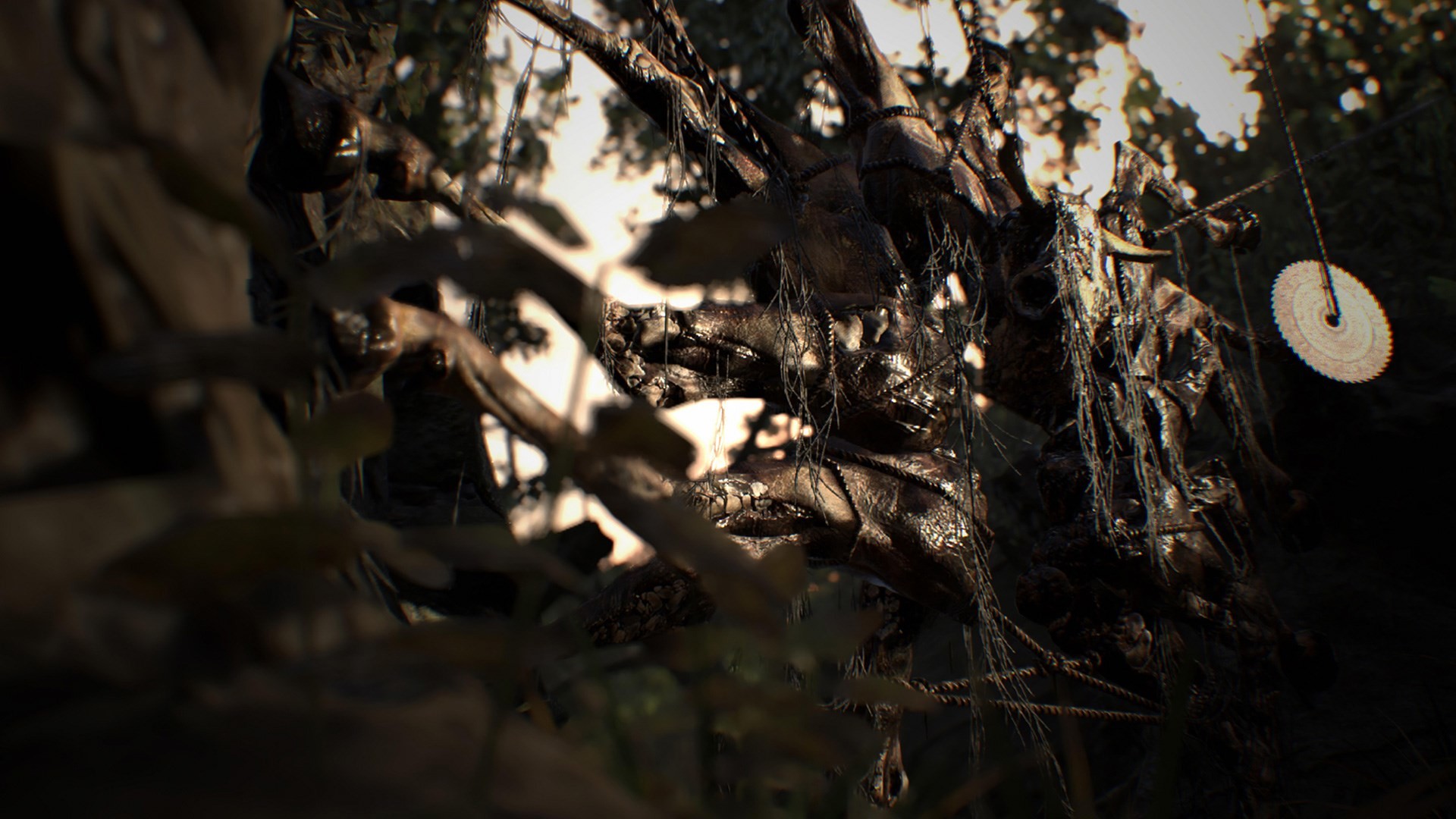 Resident Evil 7: Biohazard, Bosco, Rami, Controluce, Horror, Full HD, sfondo Windows 11