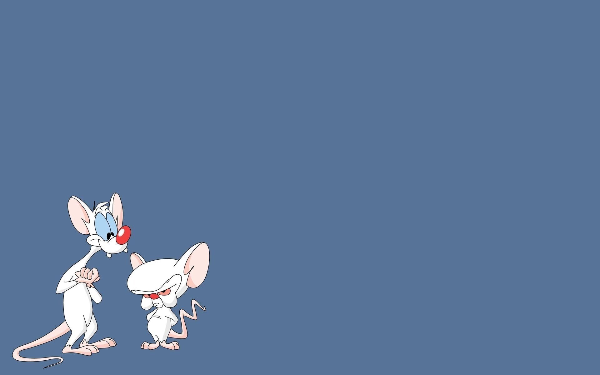 Mignolo e Prof., Prof. (Pinky and the Brain), Mignolo, Cartone animato, Sfondo blu, wallpaper Full HD
