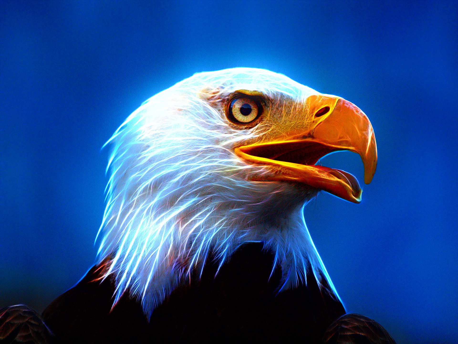 Aquila calva, Arte digitale, Sfondo blu, Full HD, schermata di blocco iPad