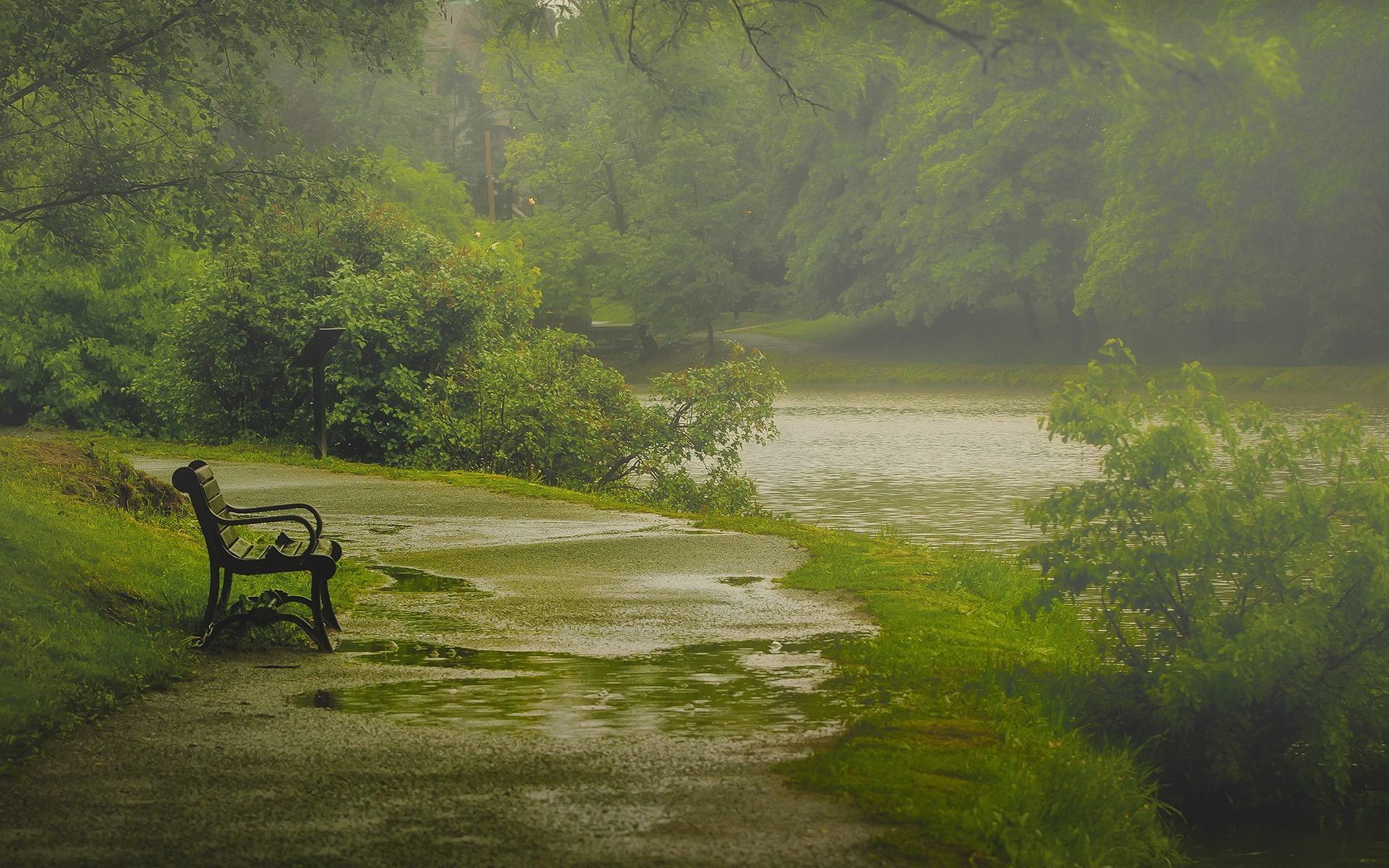 Pioggia, Parco, Panchina, Verde, 16:10 Full HD, sfondo widescreen