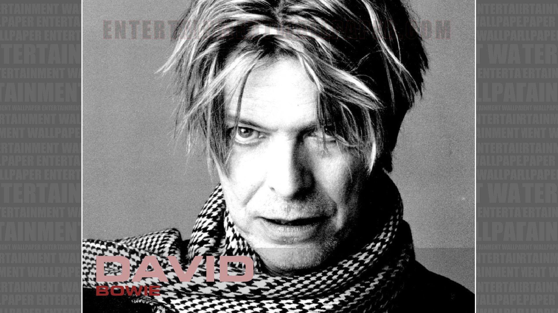 David Bowie, Sciarpa, Bianco e nero, Ritratto, Full HD, sfondo desktop