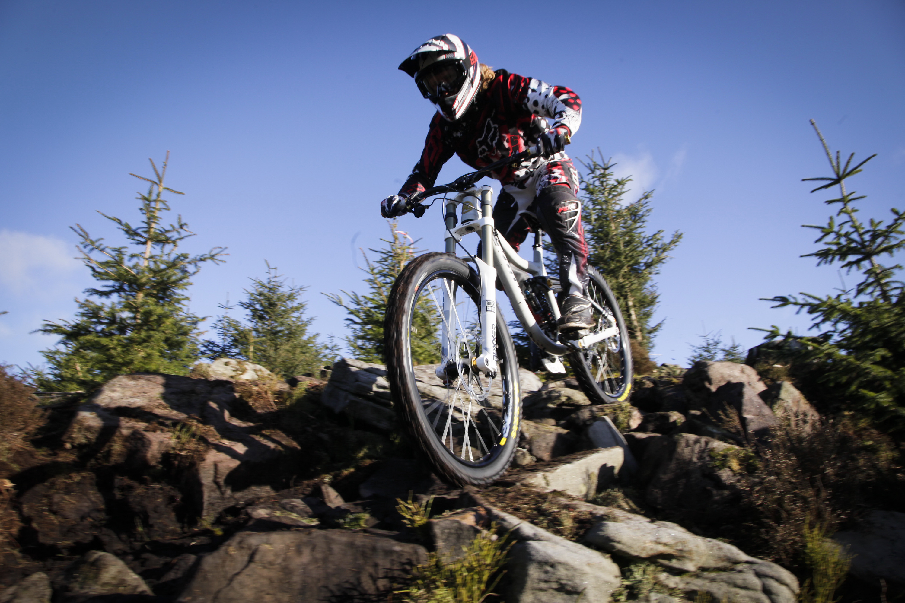 Mountain bike, Rocce, Abeti, Cielo blu, 2K, wallpaper per portatile