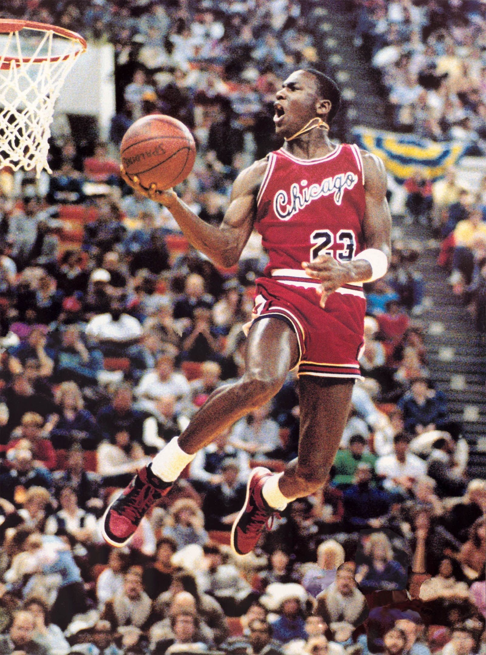 Michael Jordan, Chicago Bulls, Schiacciata, Pallacanestro, Tifosi, sfondo iPad QHD+