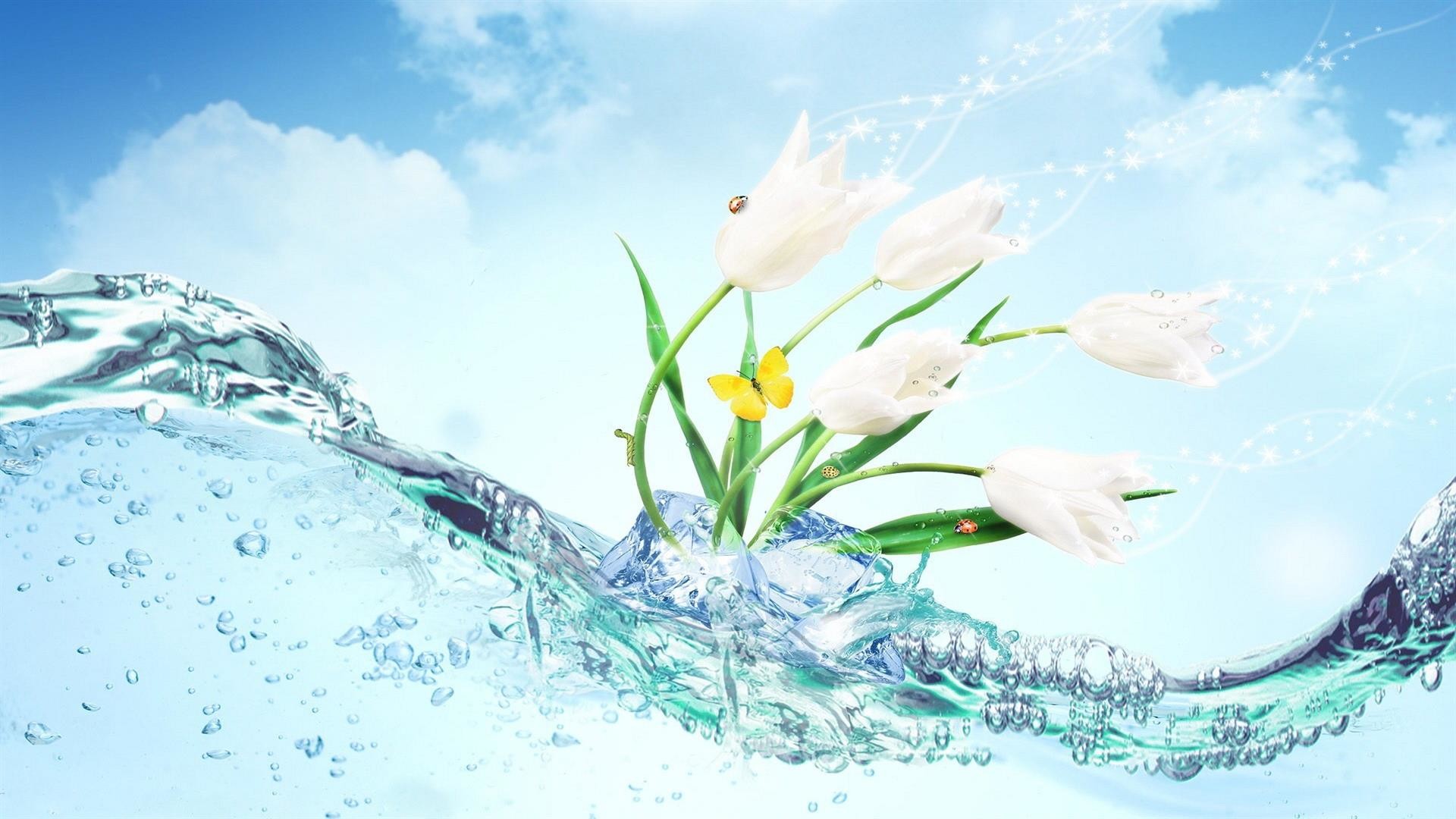 Tulipani bianchi, Acqua, Spruzzi, Cielo, 1920x1080, sfondo per PC