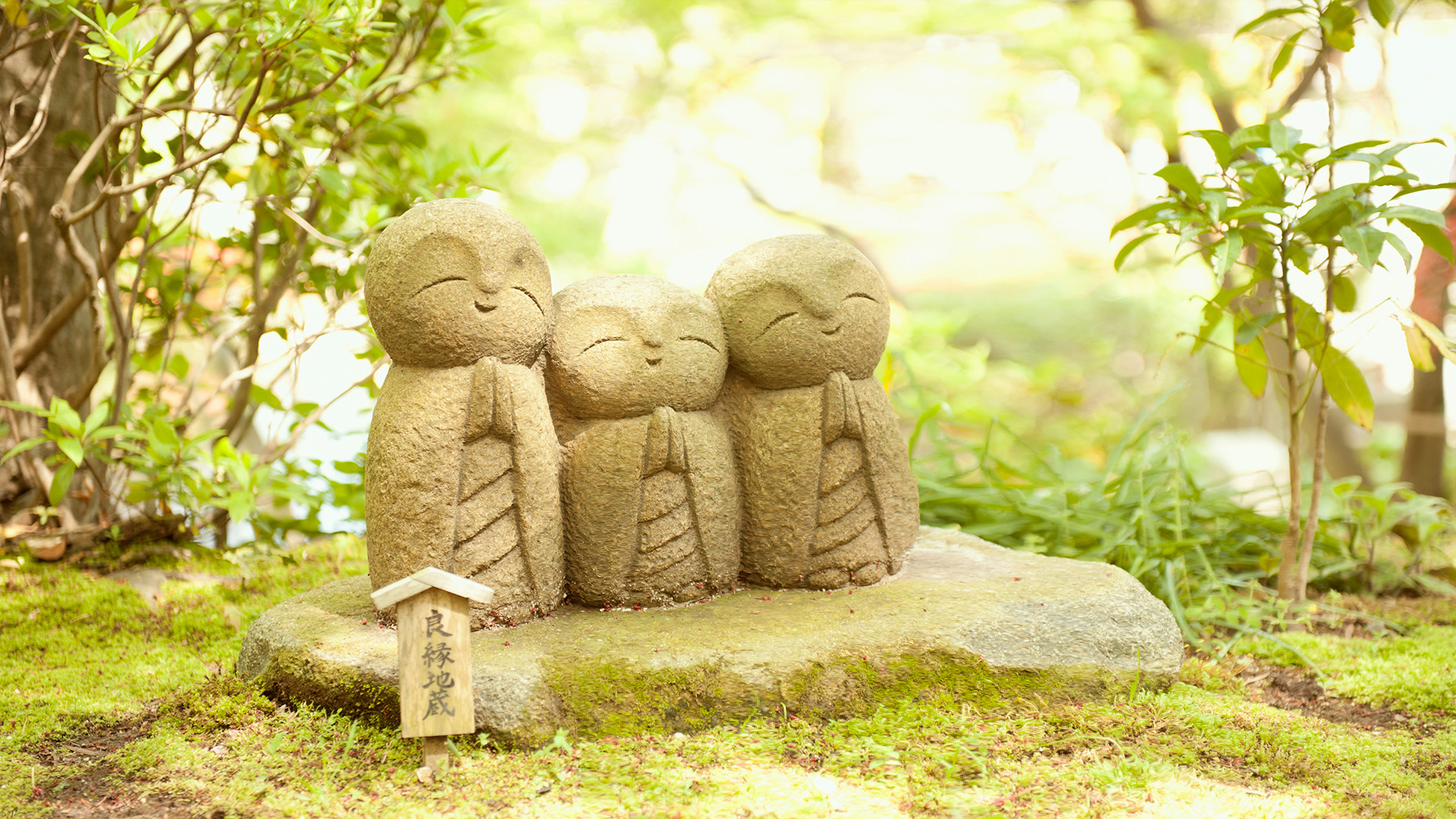 Statue Jizo, Jizo, Giappone, Muschio, Giardino, 1920x1080, immagine di sfondo