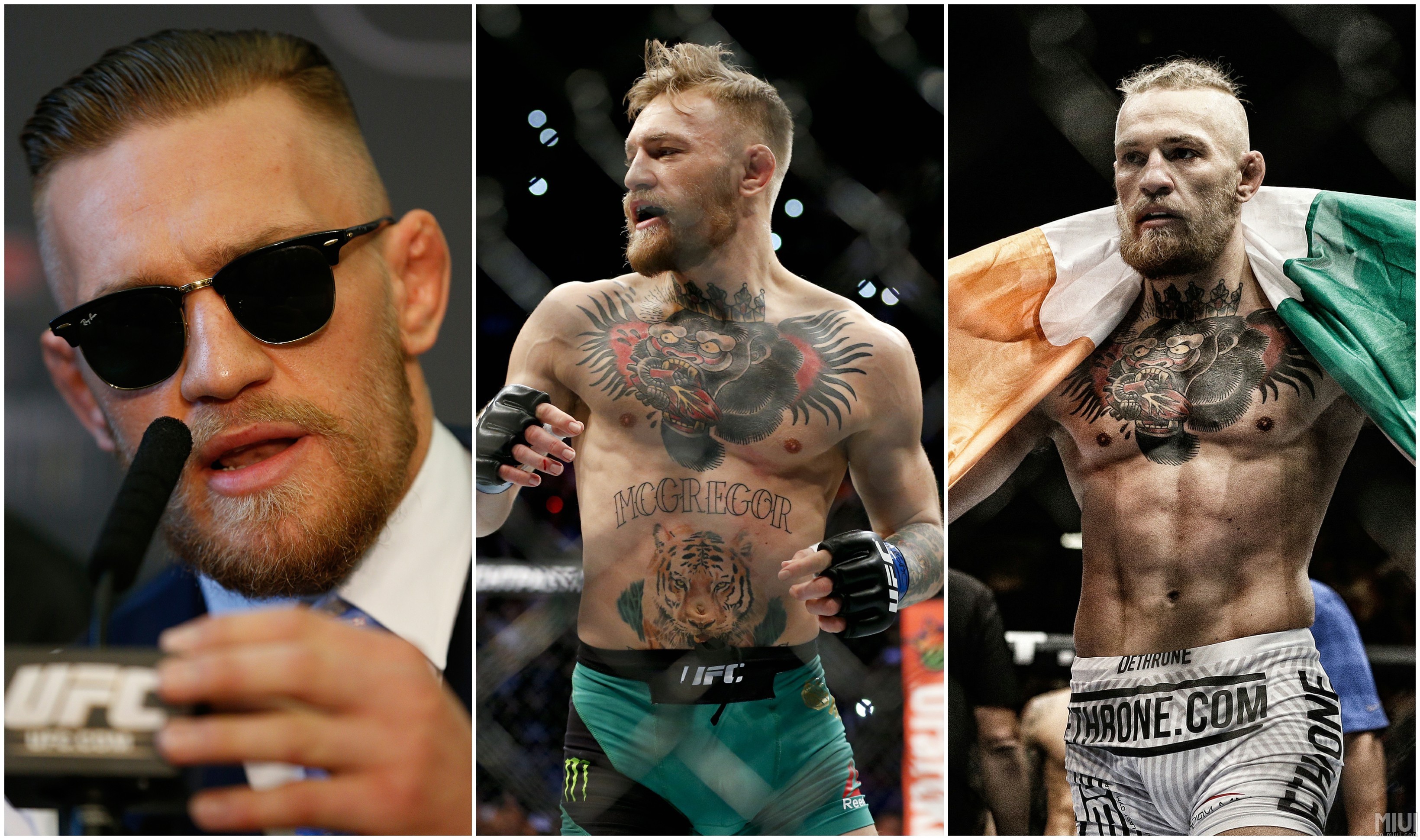 Conor McGregor, Collage, Occhiali da sole, UFC, 2K, sfondo desktop