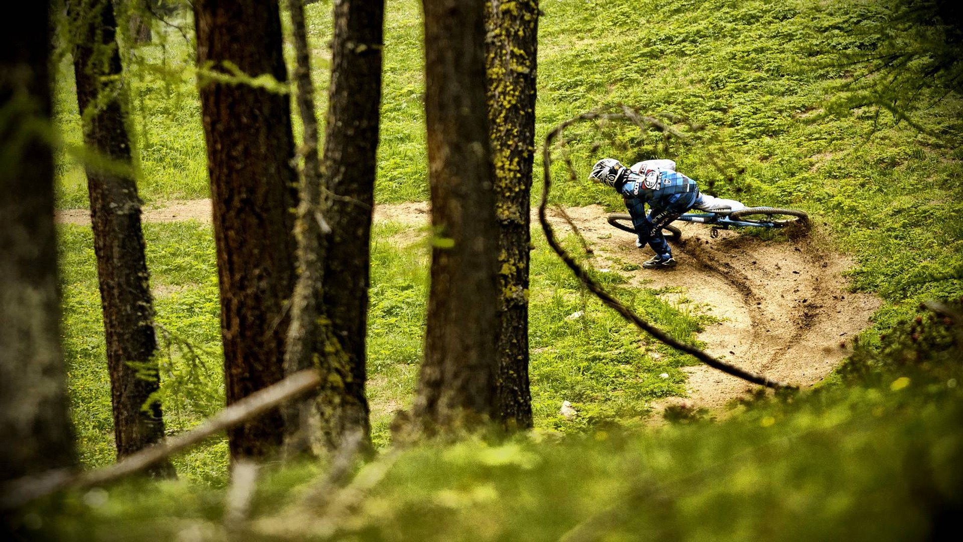 Mountain bike, Curva, Bosco, Erba verde, Full HD, sfondo desktop