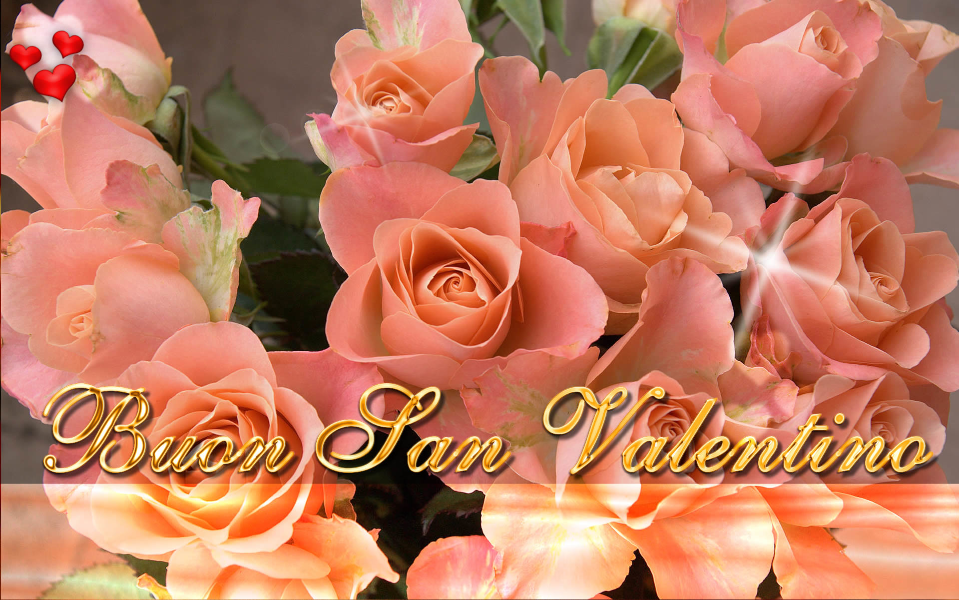 Buon San Valentino, Rose, Pesca, Romantico, 16:10 Full HD, sfondo widescreen