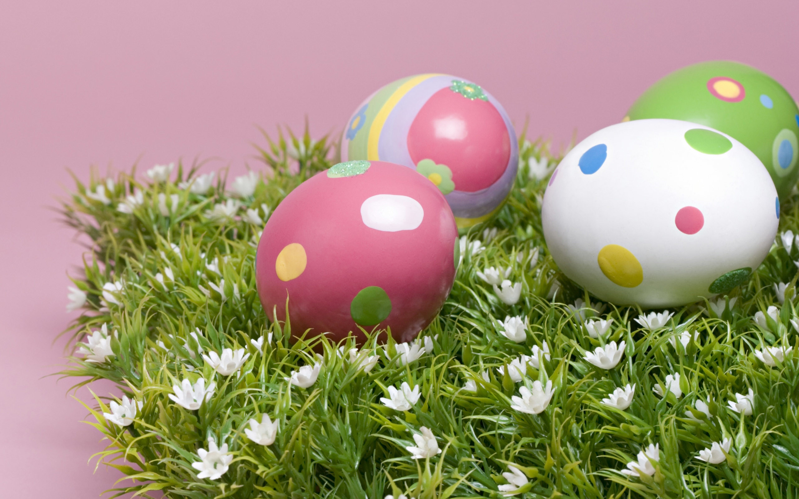 Uova di Pasqua, Uova a pois, Erba, Fiori bianchi, Sfondo rosa, 16:10 2K, wallpaper widescreen