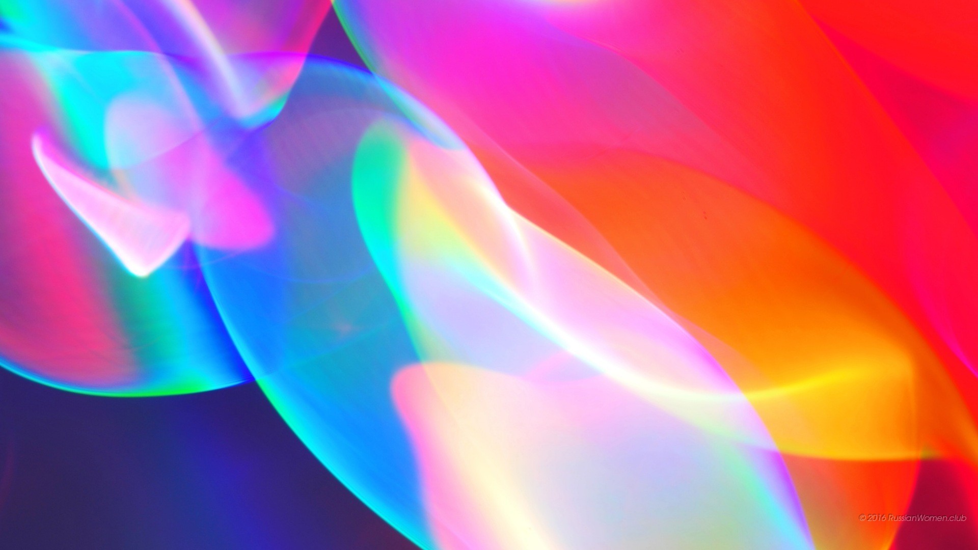 Forme fluide, Rosa, Rosso, Ciano, 16:9 Full HD, sfondo widescreen