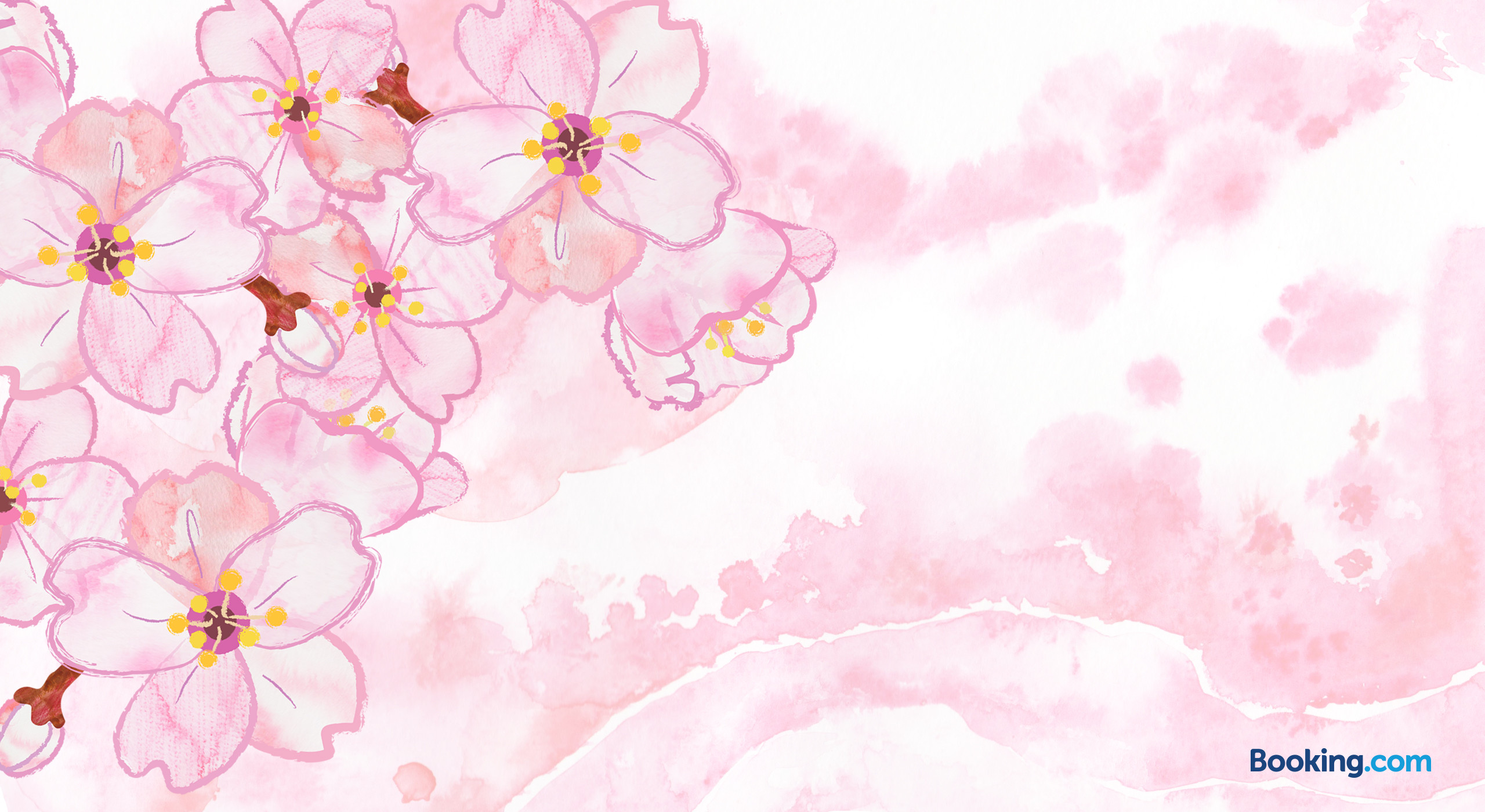 Fiori di ciliegio, Acquerello, Sfondo bianco, Rosa, 2K, wallpaper desktop
