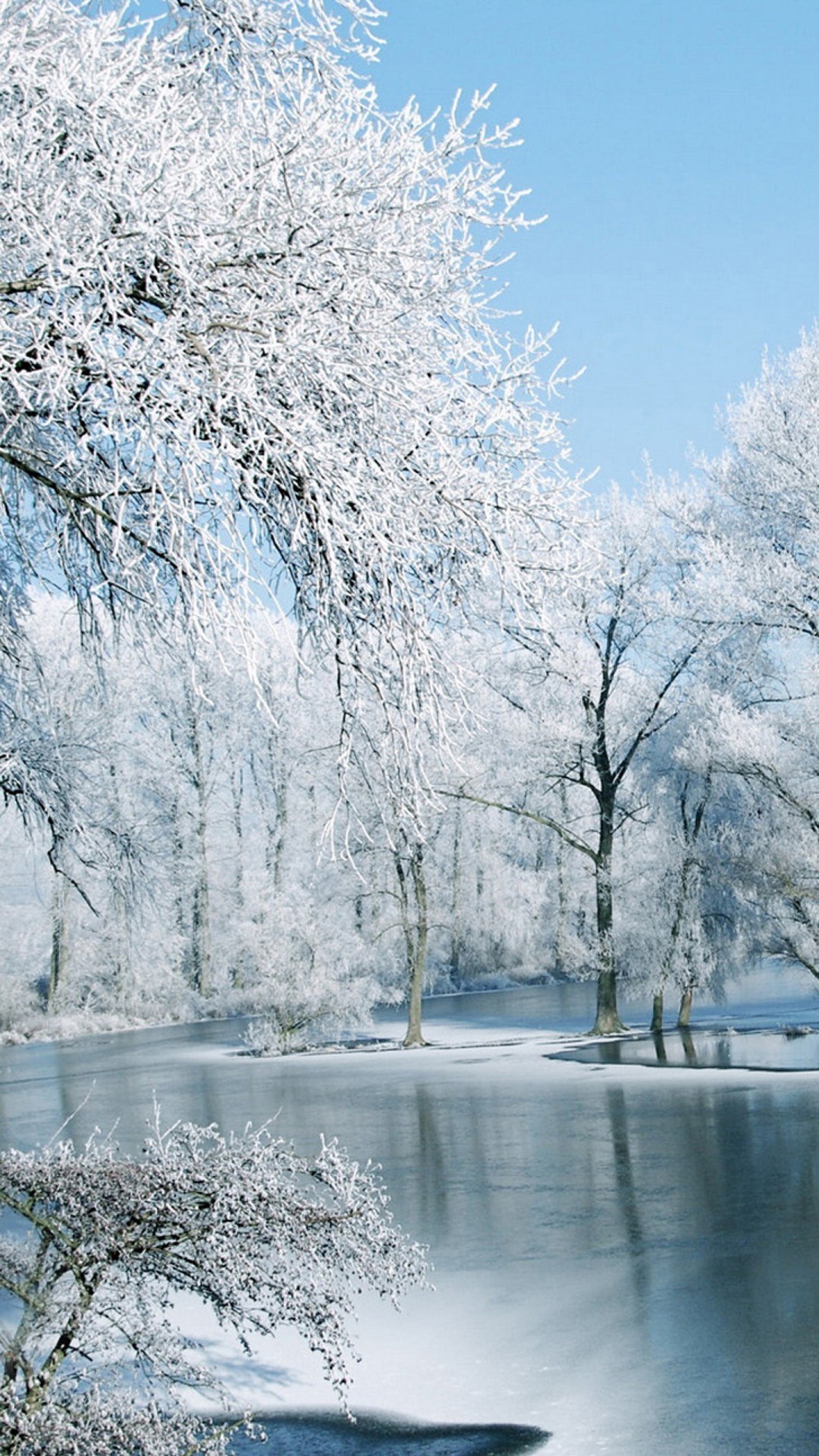 Alberi ghiacciati, Fiume, Brina, Bianco, Full HD, schermata di blocco del cellulare
