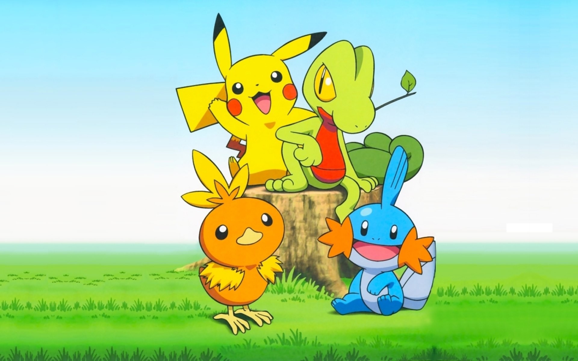 Pikachu, Torchic, Mudkip, Treecko, Pokémon, Prato, 16:10 Full HD, sfondo widescreen