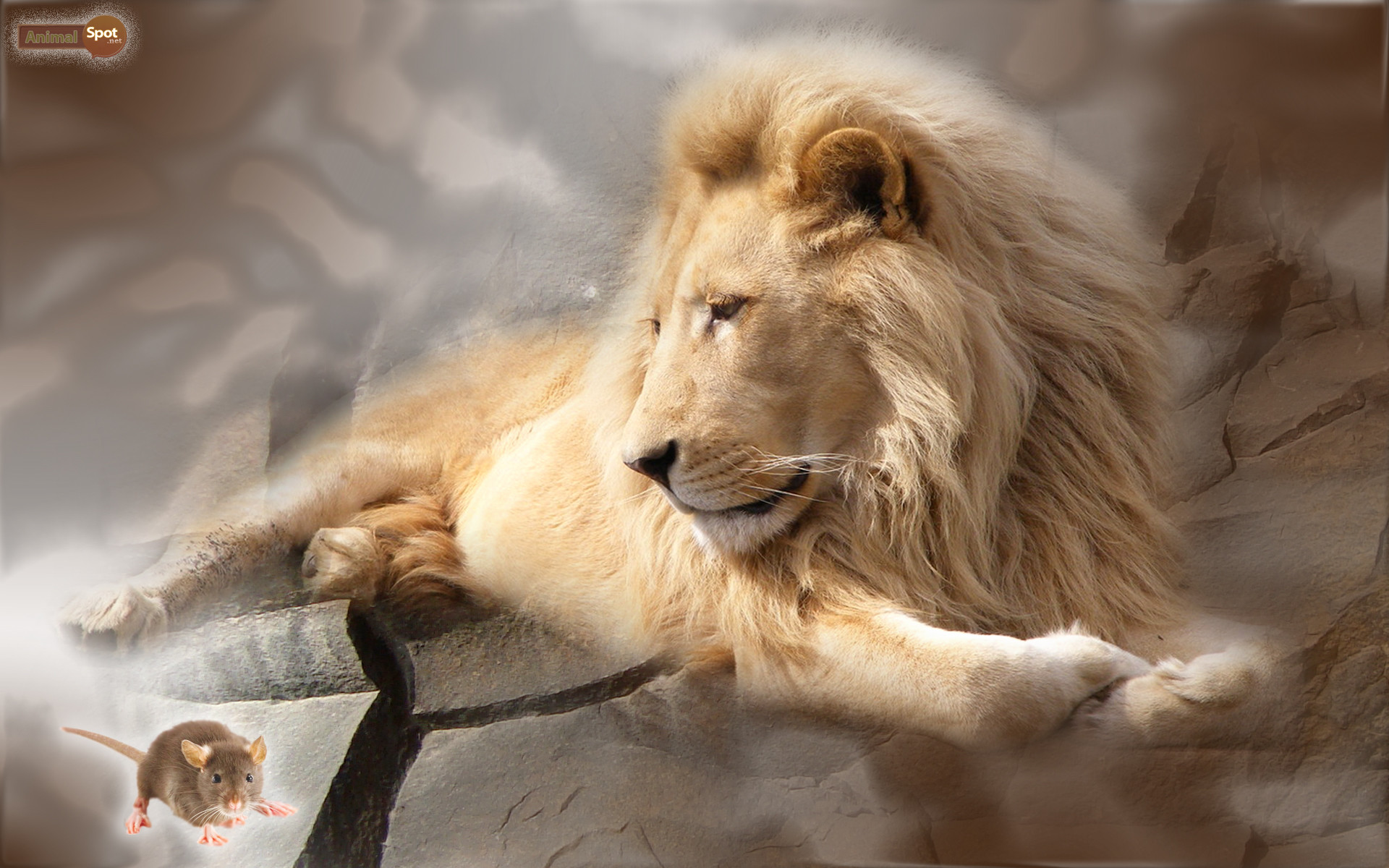 Leone, Topo, Arte digitale, Riposo, 1920x1200, sfondo MacBook Pro