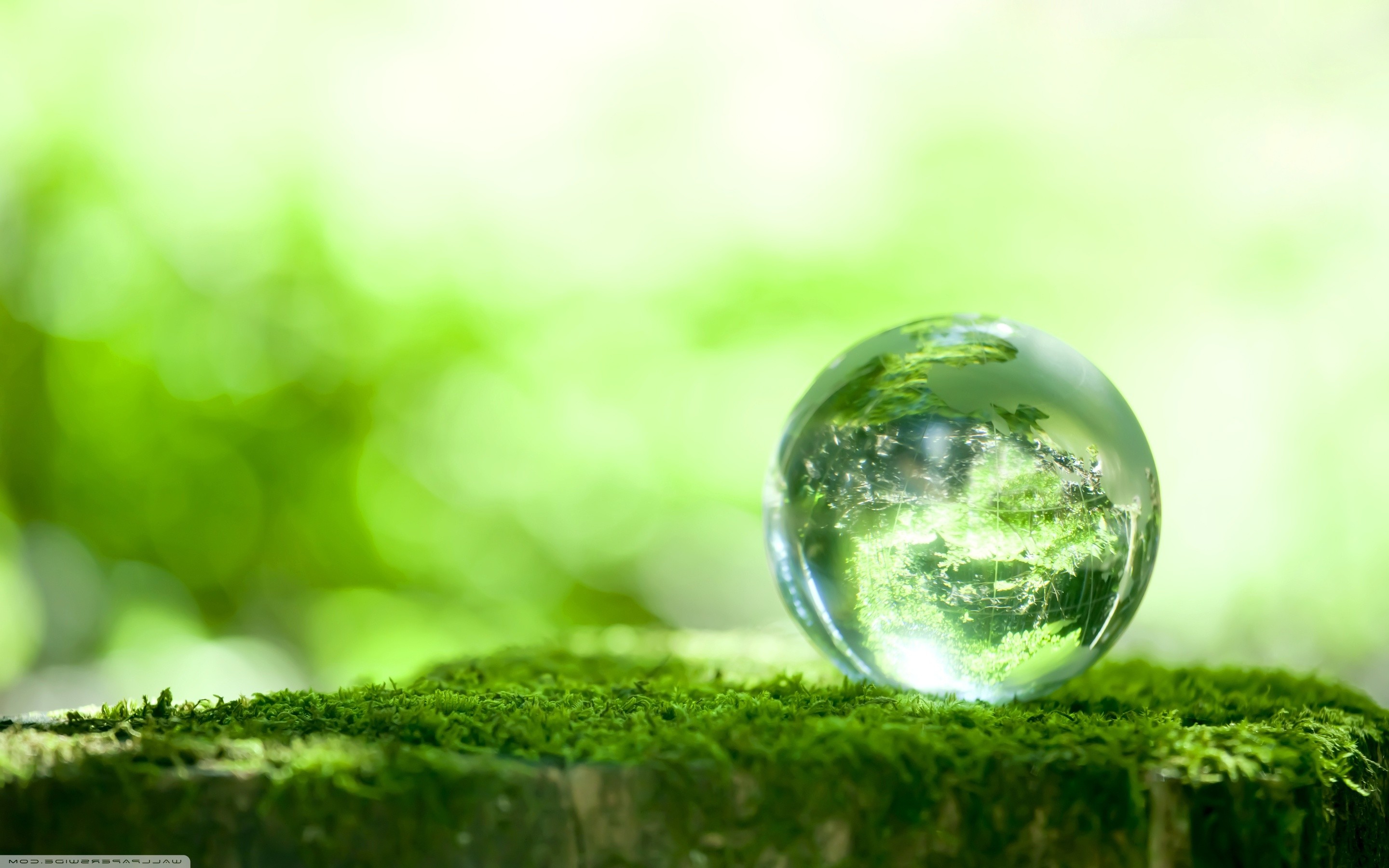 Sfera di vetro, Muschio, Sfocato, Verde, 2K, sfondo per PC e portatile
