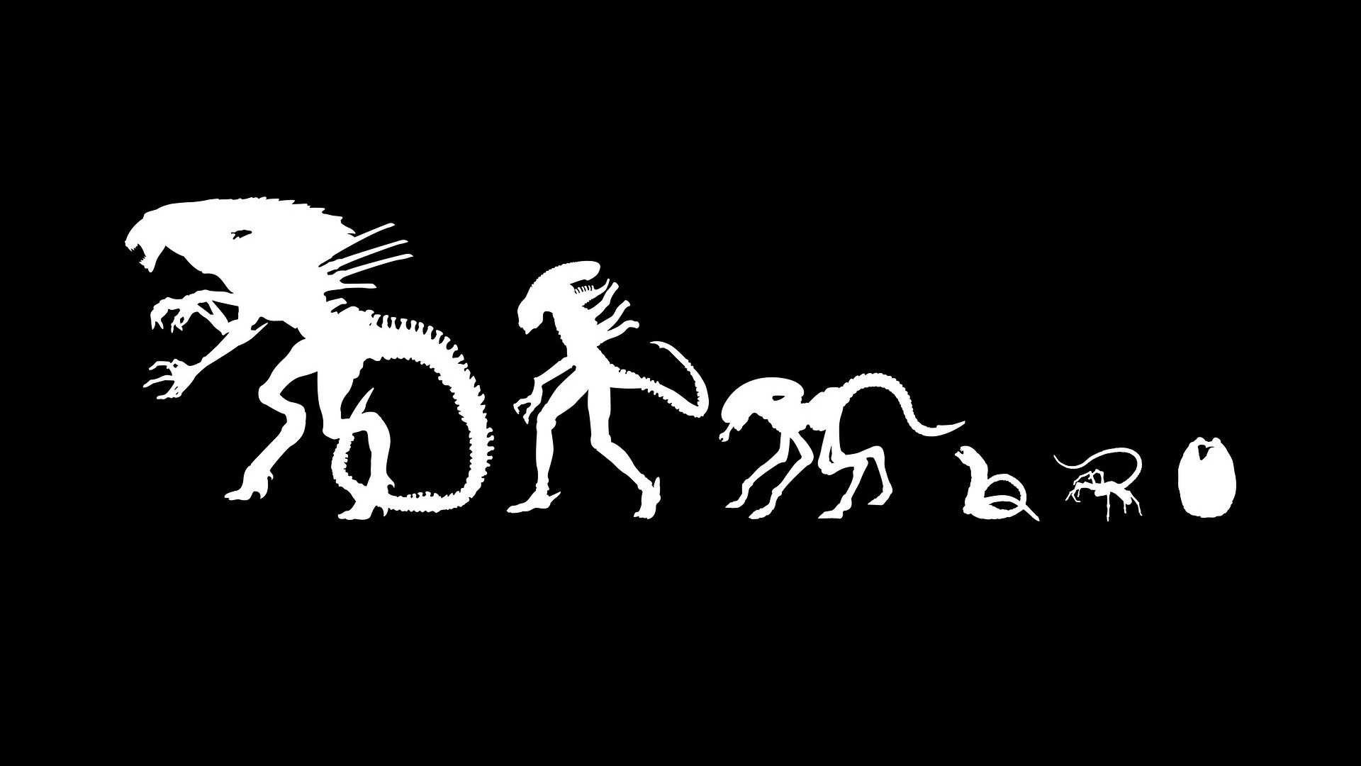 Xenomorfo, Alien, Ciclo vitale, Silhouette, Minimalista, 1920x1080, sfondo per PC