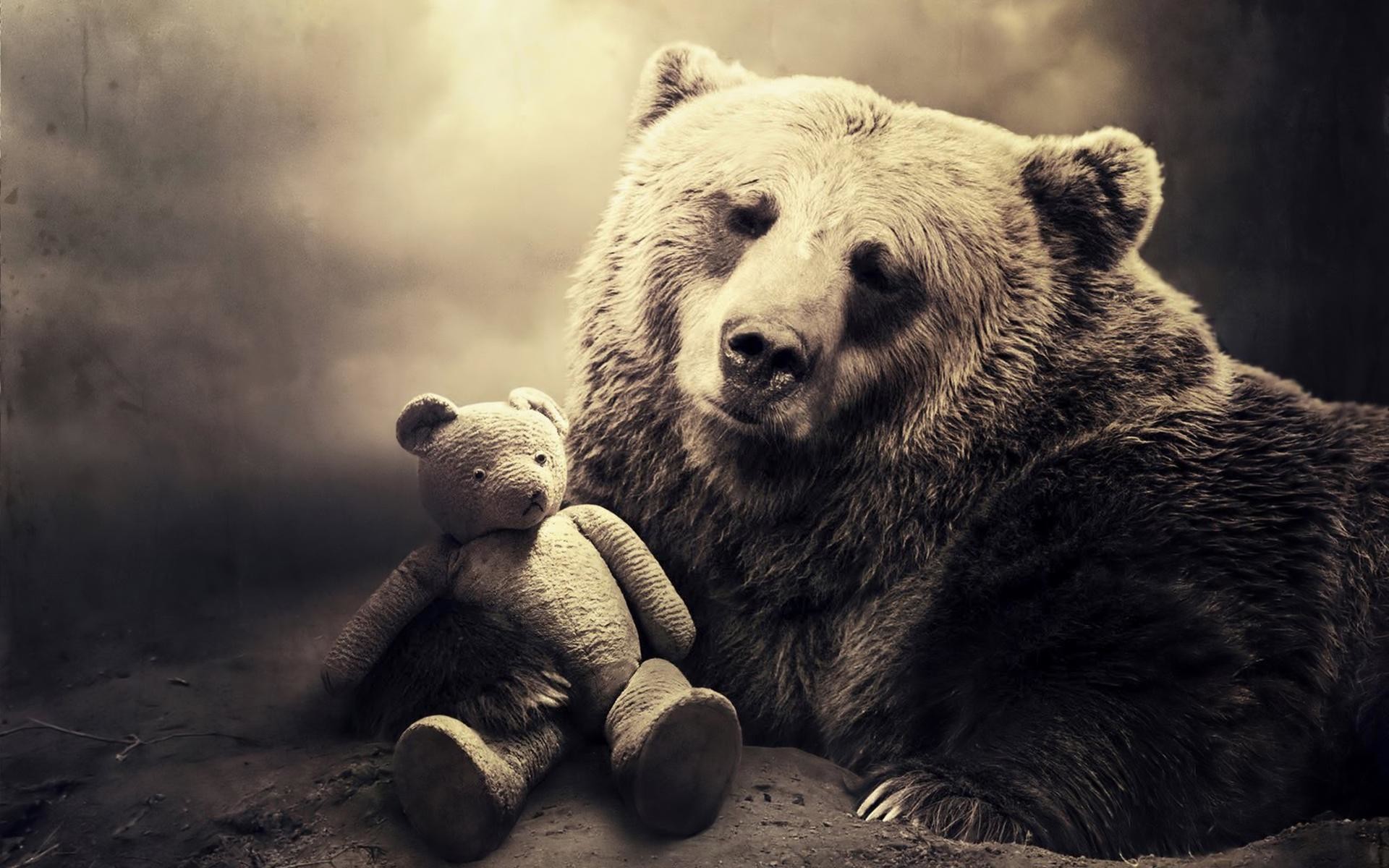 Orso bruno, Orsacchiotto, Seppia, Tenero, Full HD, sfondo per PC
