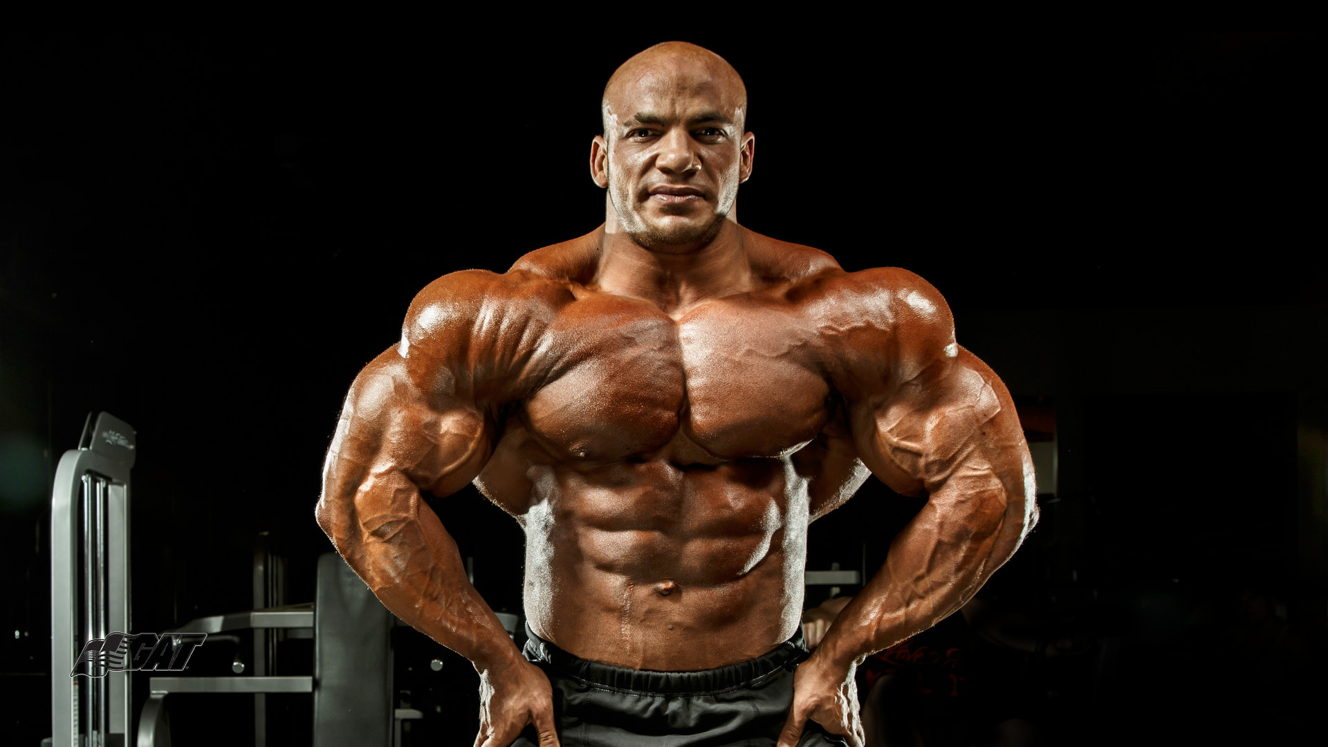 Big Ramy, Culturista, Pettorali, Muscoli, 16:9 Full HD, sfondo widescreen