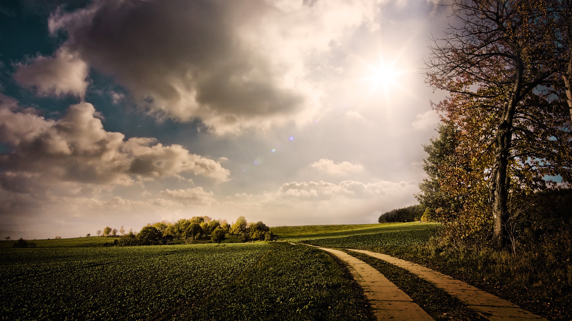 Prato, Sentiero, Nuvole, Sole, Campagna, Full HD, sfondo desktop