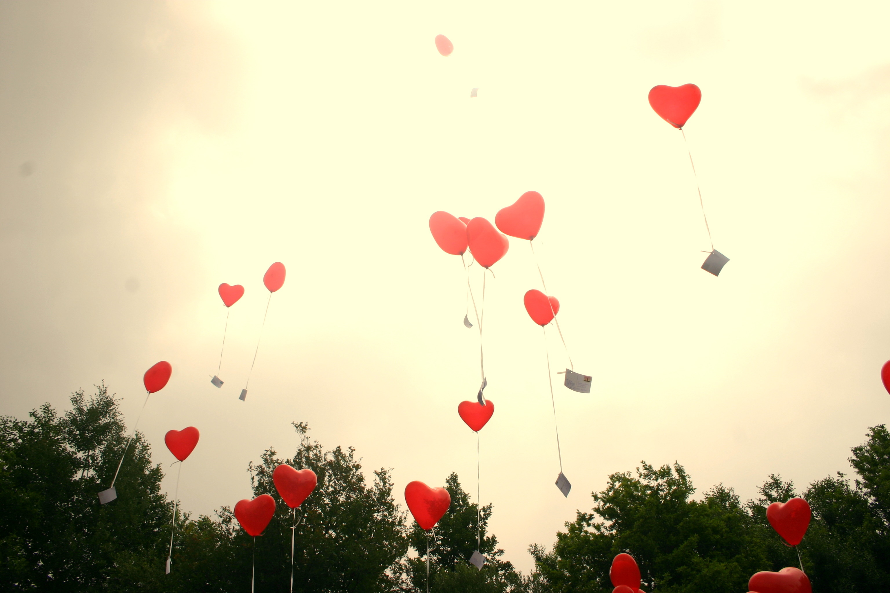 Palloncini a cuore, Cielo, Alberi, 2K, sfondo per PC e portatile