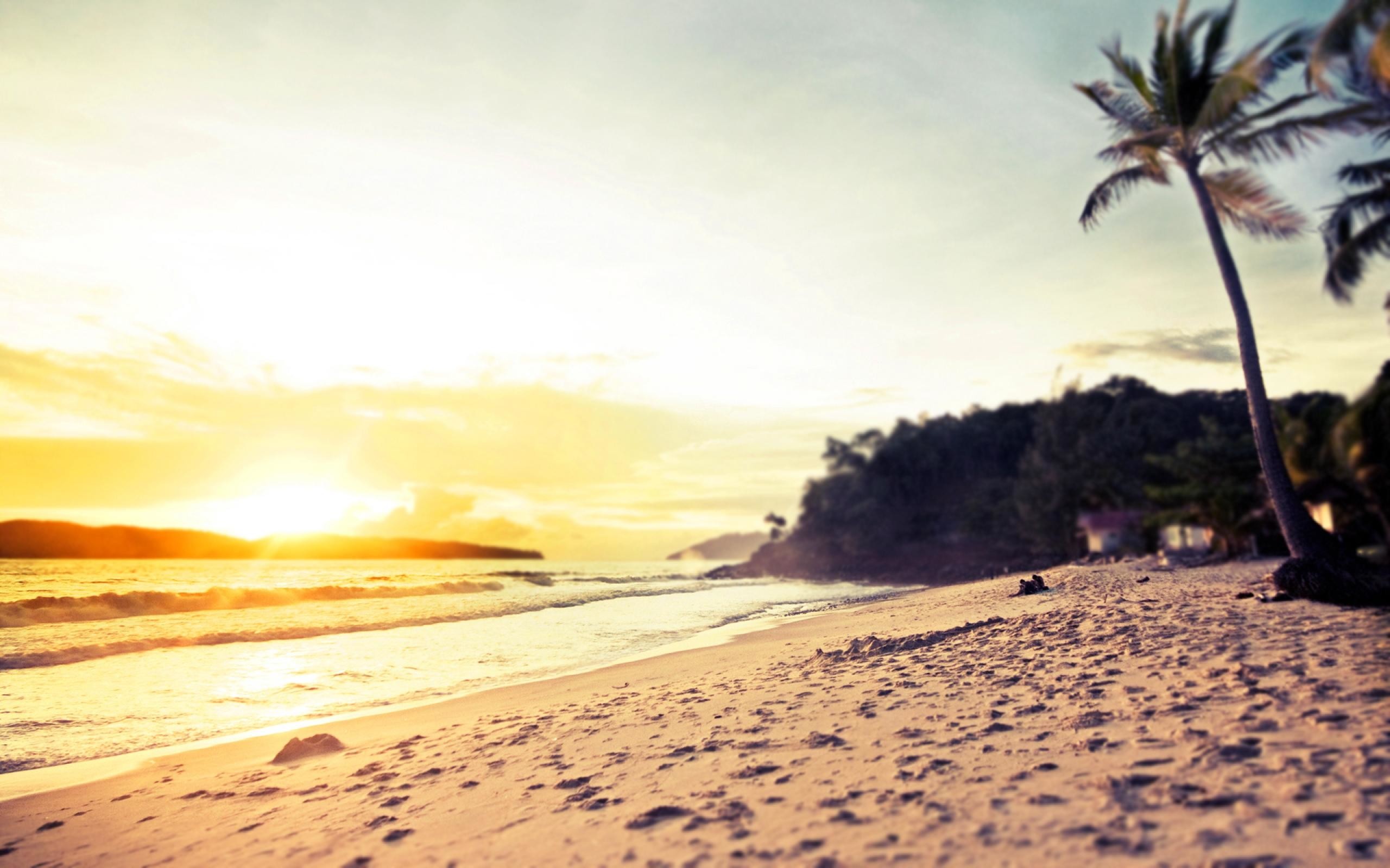 Spiaggia, Palme, Tramonto, Tropicale, 2K, wallpaper per desktop