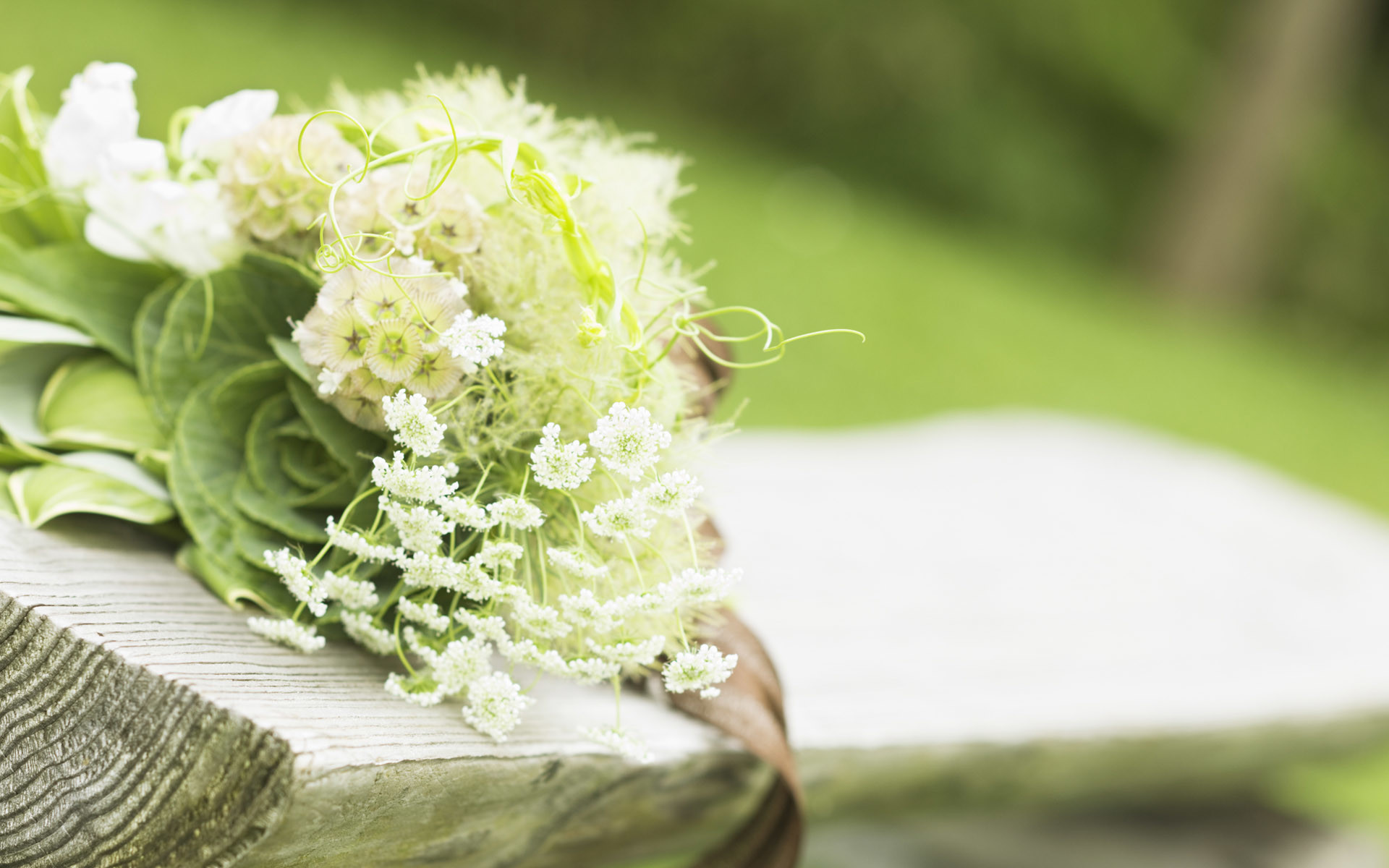 Bouquet da sposa, Fiori bianchi, Ortensie, Verde, Full HD, sfondo Windows 11