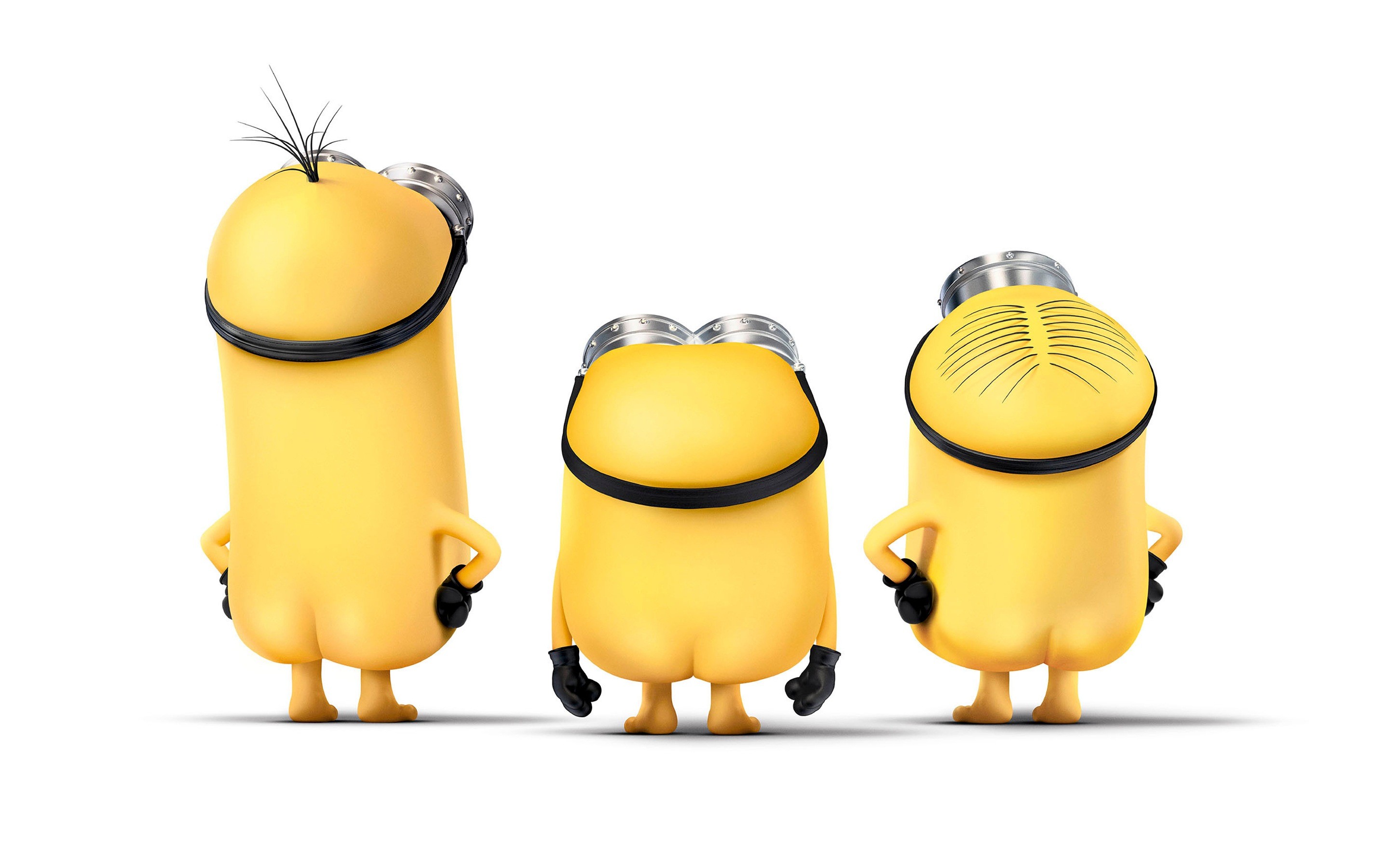Minions, Di spalle, Sfondo bianco, 16:10 2K, wallpaper widescreen