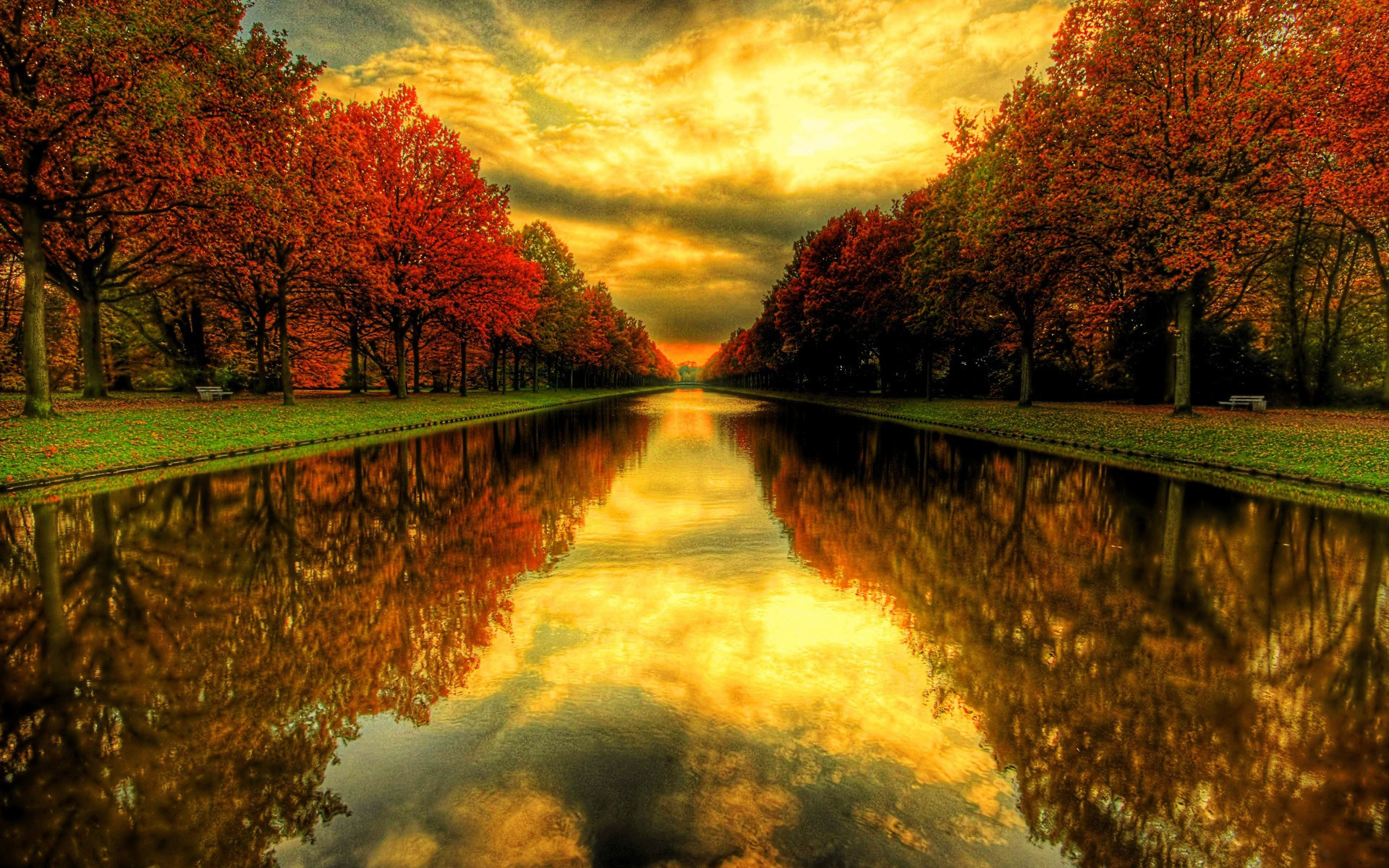 Canale, Viale alberato, Riflesso, Tramonto, Full HD, sfondo per PC e portatile