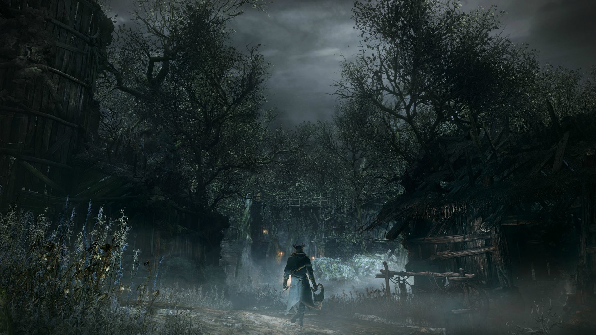 Bloodborne, Cacciatore, Foresta, Nebbia, Full HD, sfondo desktop