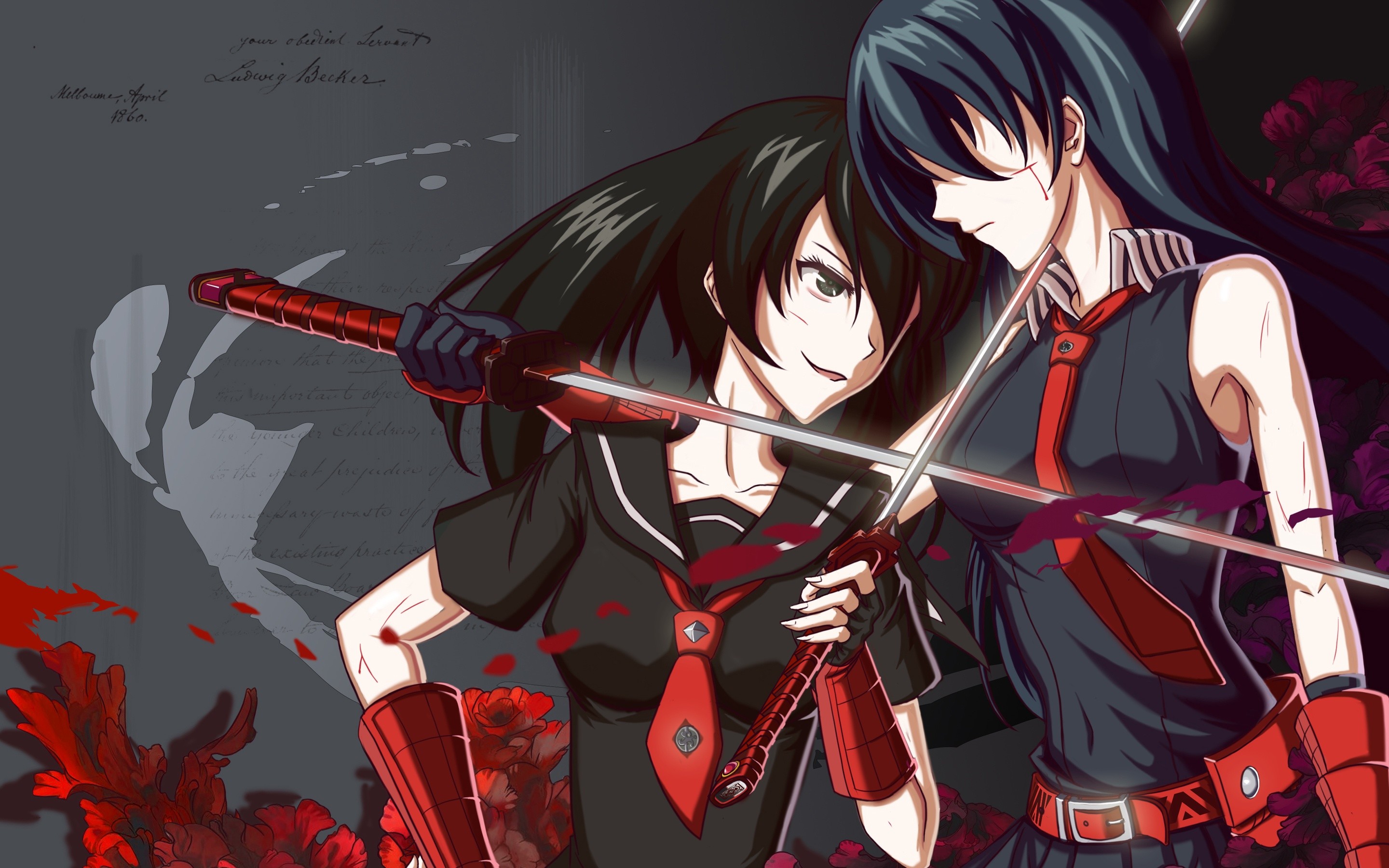 Akame, Kurome, Akame ga Kill!, Katana, Duello, 2880x1800, immagine di sfondo