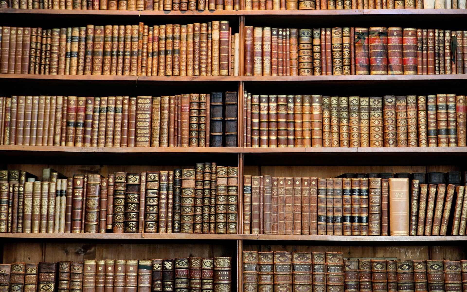 Libreria, Scaffali, Libri antichi, Rilegature in pelle, 1920x1200, immagine di sfondo
