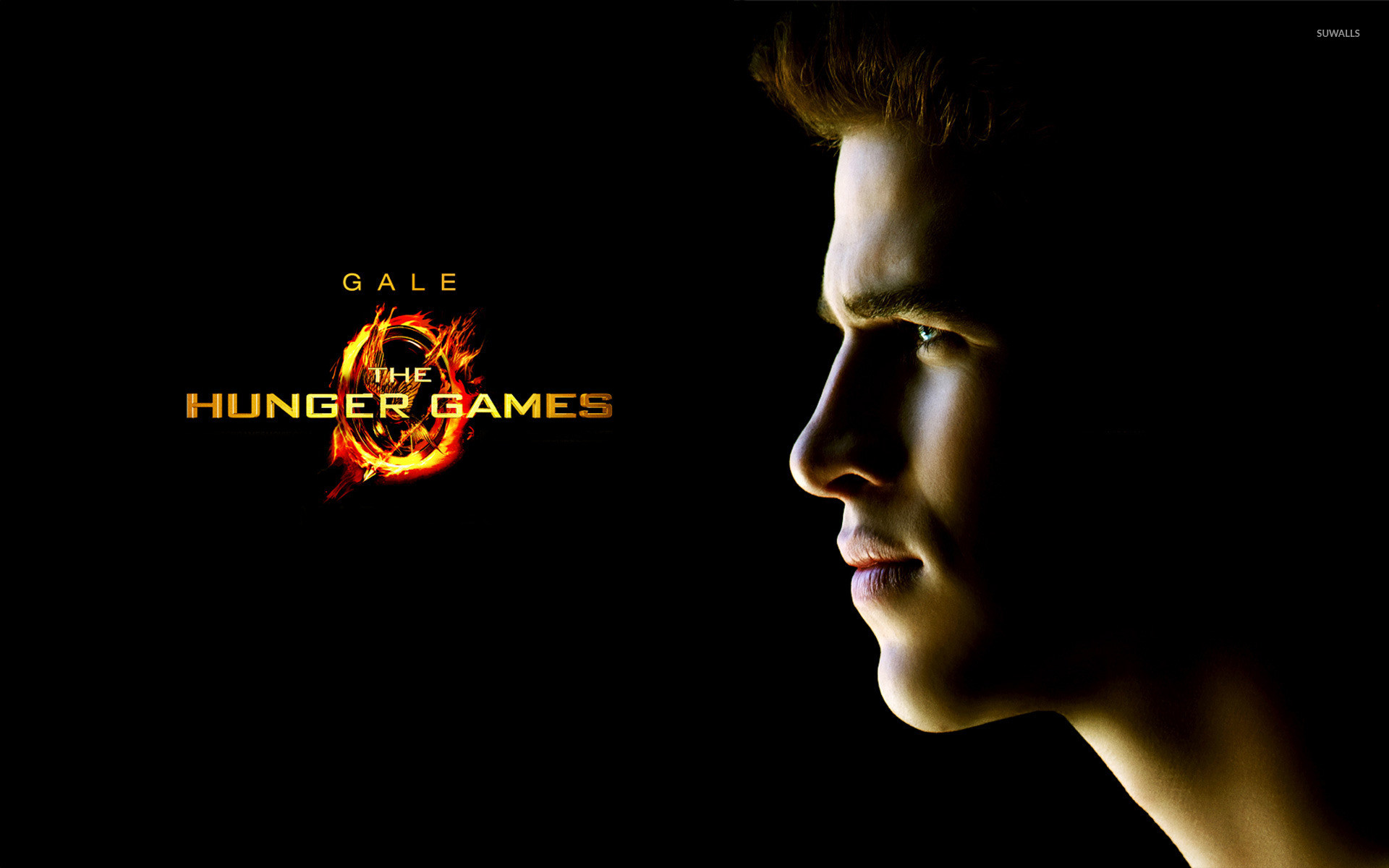 Liam Hemsworth, Gale Hawthorne, Hunger Games, Profilo, Full HD, sfondo per PC e portatile