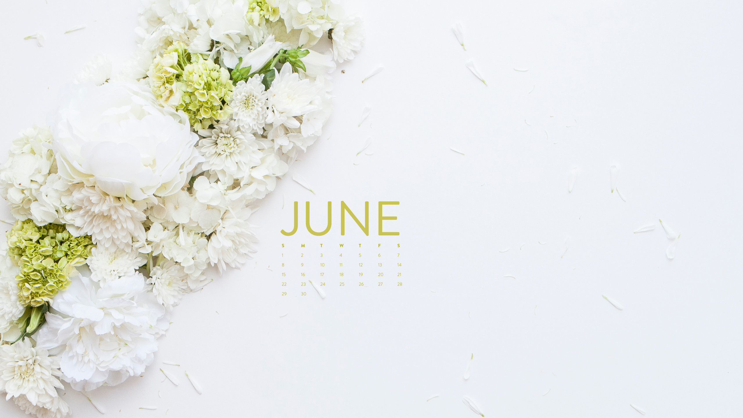 Fiori bianchi, Calendario, Giugno, Ortensie, 2K, sfondo Windows 11