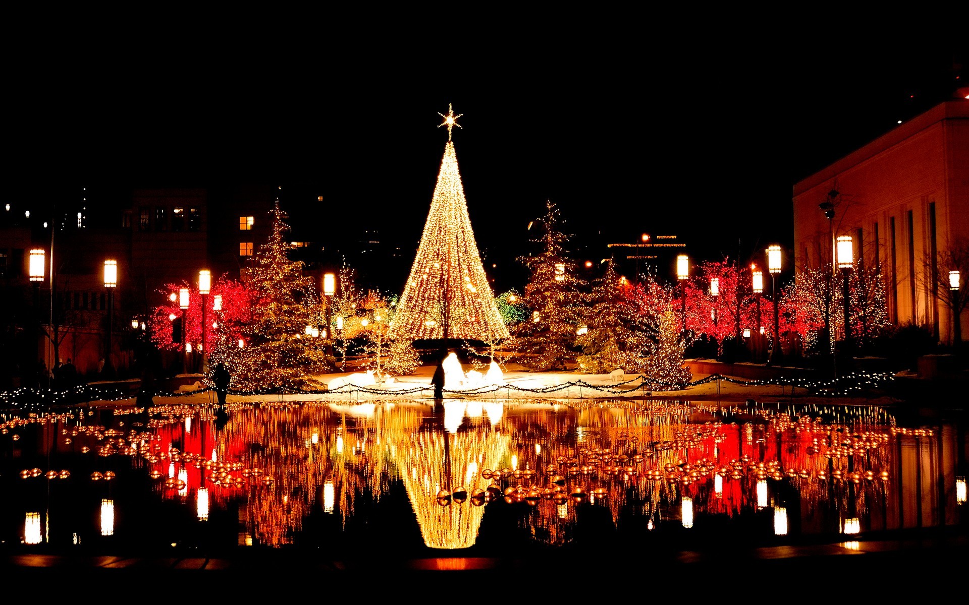 Natale, Albero di luci, Notte, Riflesso nell'acqua, Full HD, sfondo Windows 11