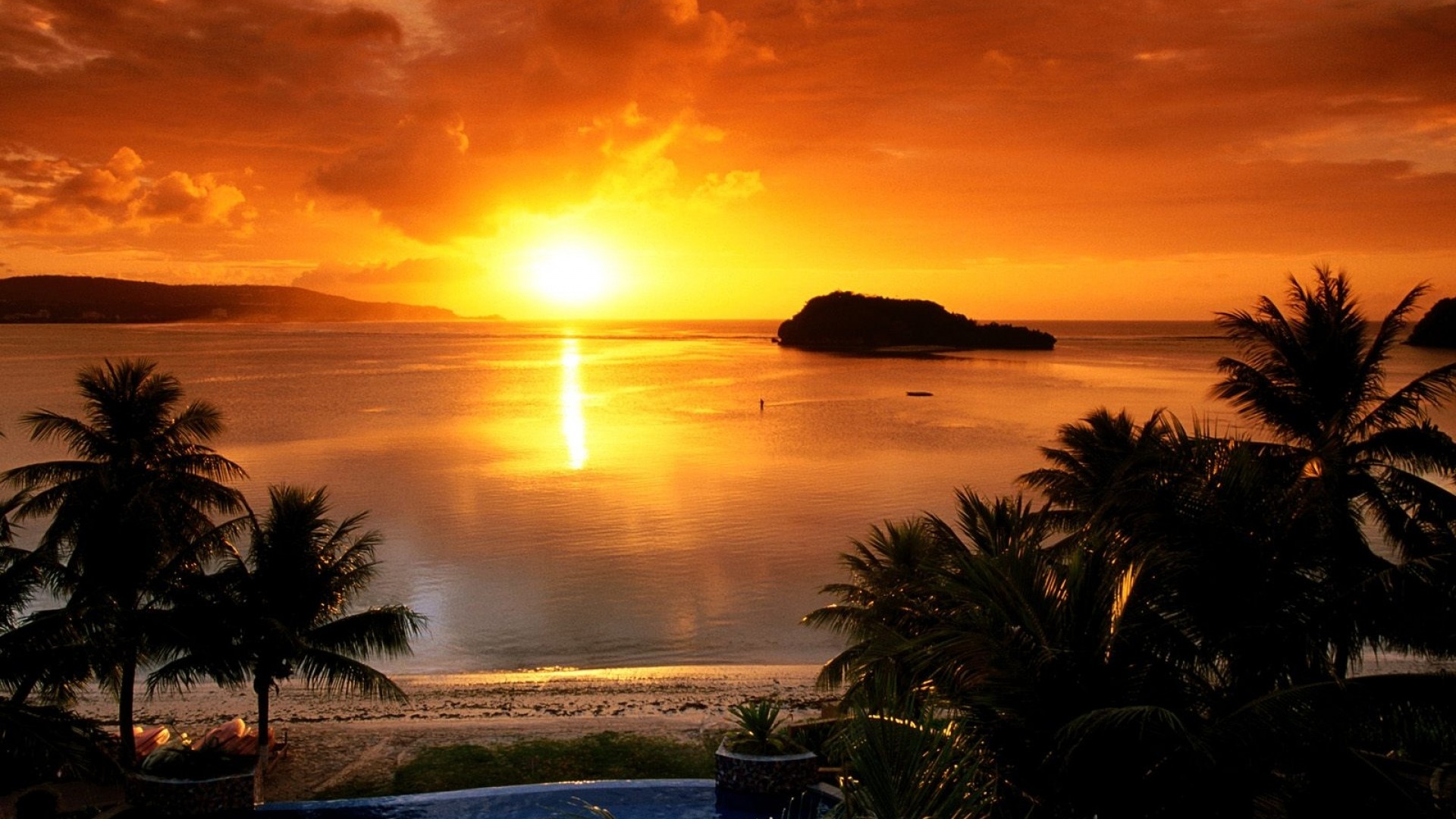 Sole, Tramonto, Palme, Baia, 16:9 Full HD, sfondo widescreen