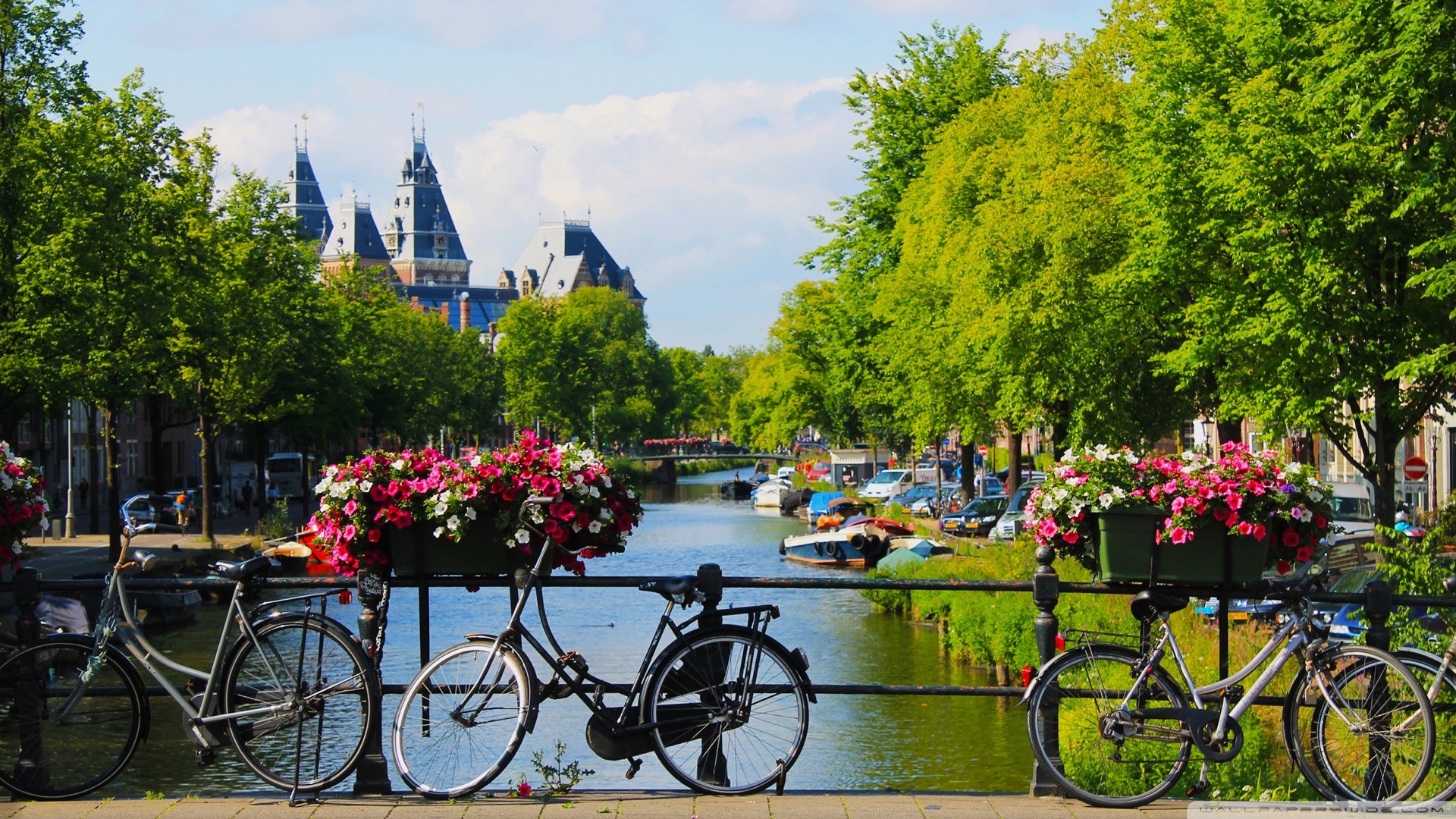 Amsterdam, Rijksmuseum, Biciclette, Fiori, Canale, Full HD, sfondo per PC