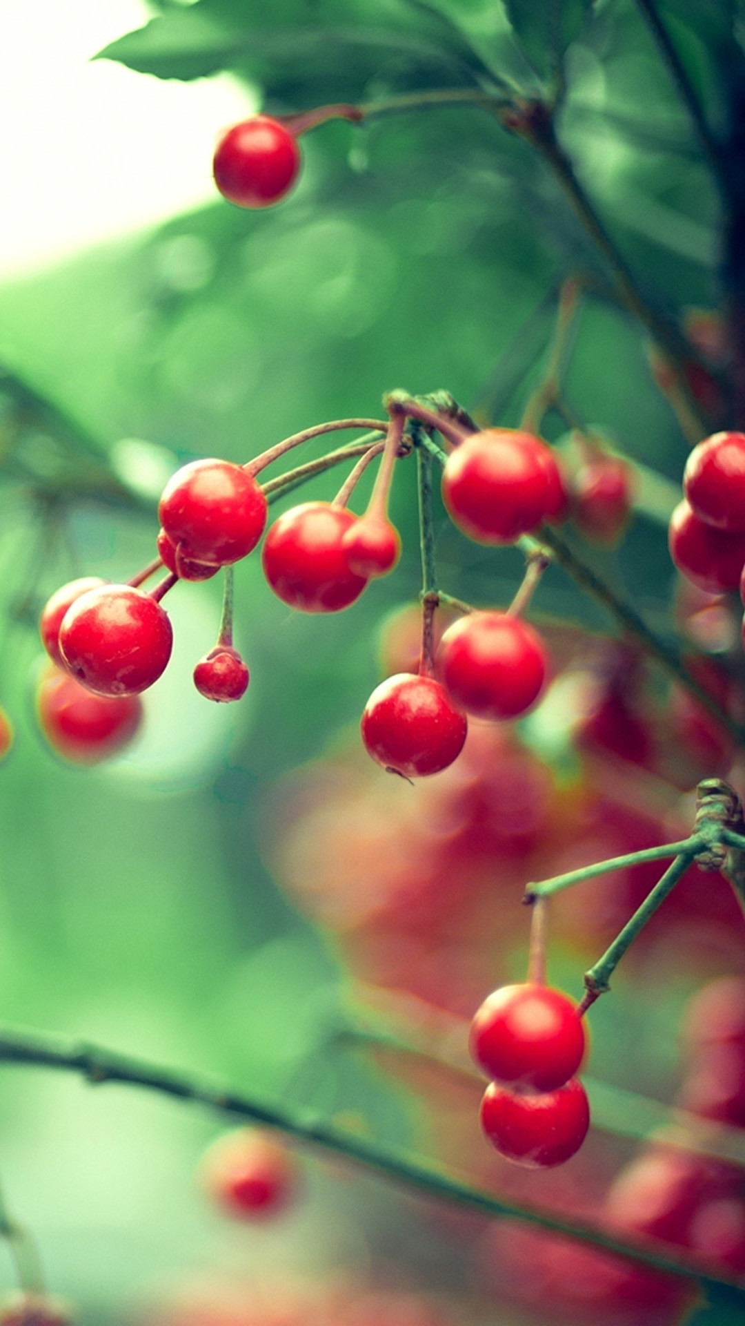 Samsung galaxy wallpaper HD, Full HD, sfondo verticale per cellulare
