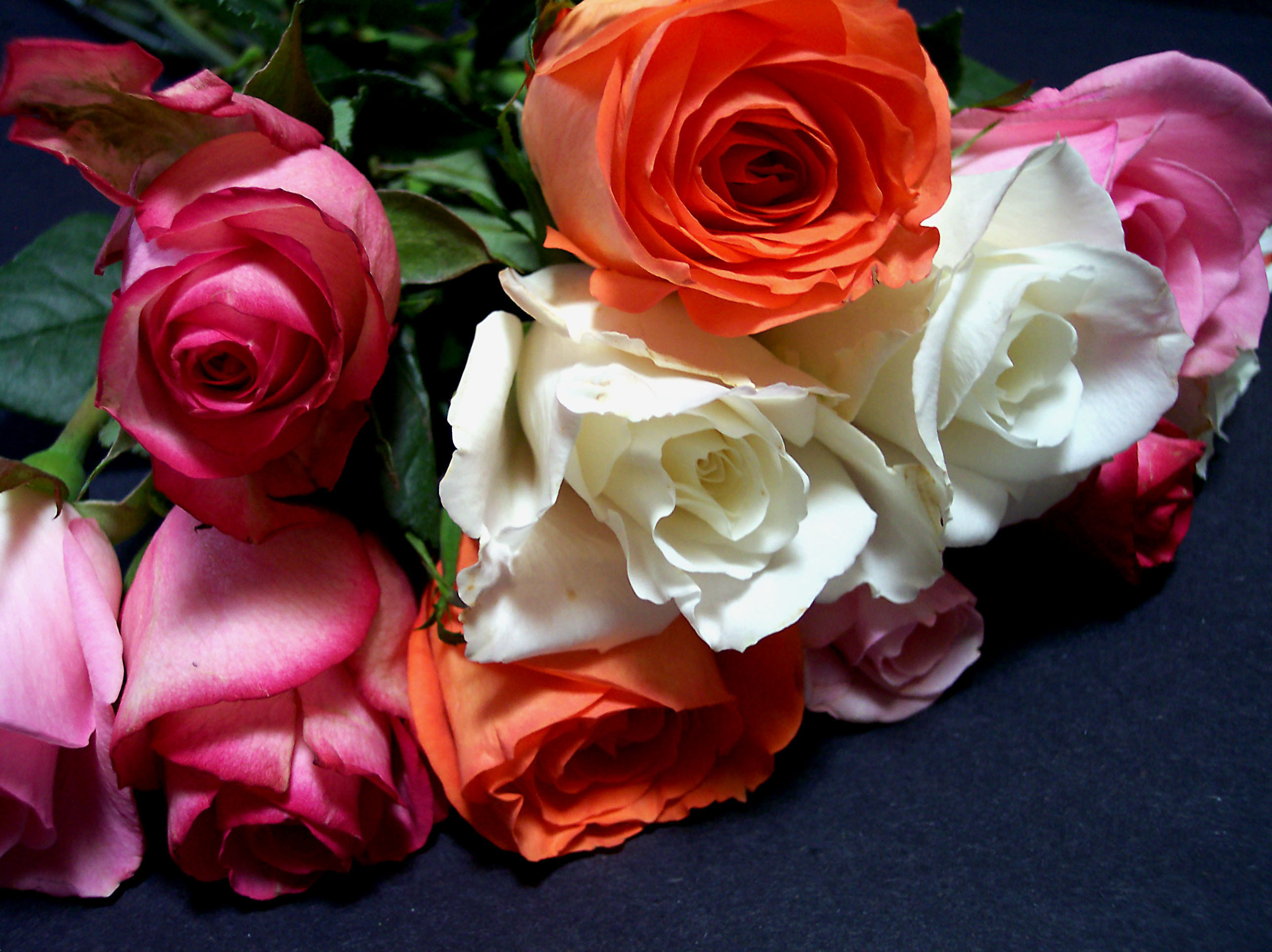 Rose colorate, Rose arancioni, Rose bianche, Mazzo, Sfondo scuro, wallpaper per iPad